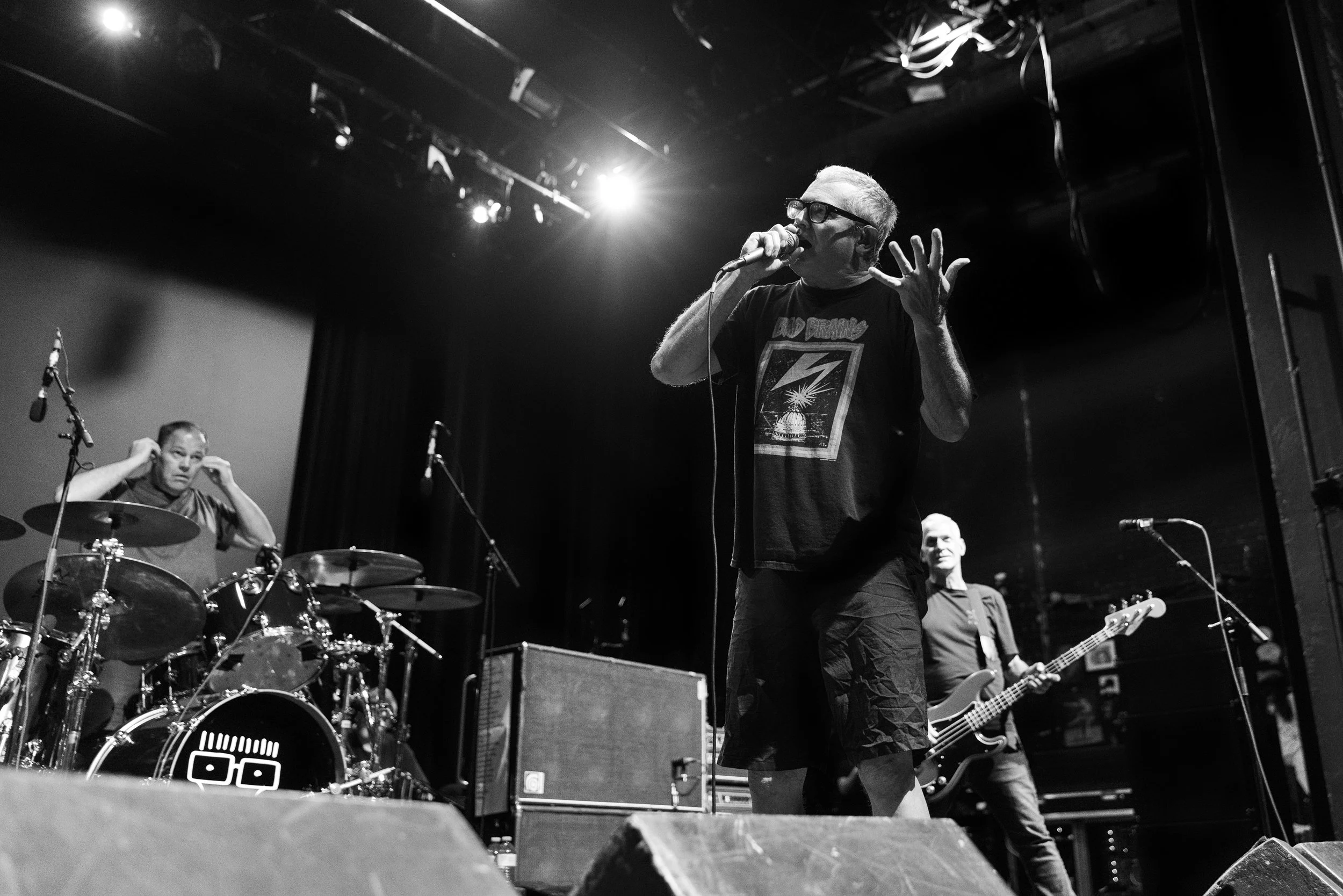 Descendents mtelus (c) JF Gosselin--52.JPG