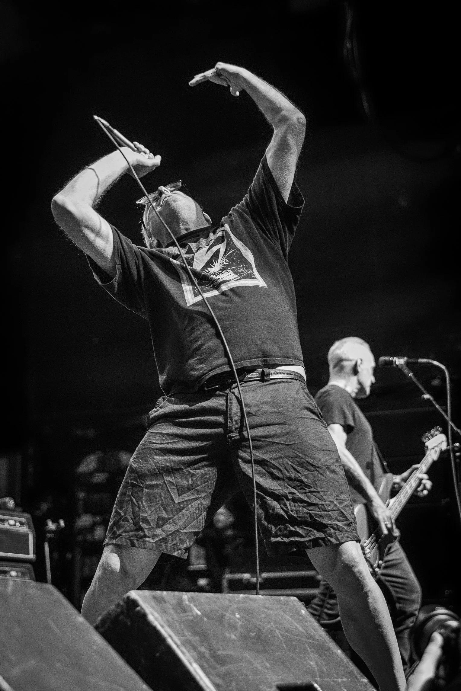 Descendents mtelus (c) JF Gosselin--64.JPG