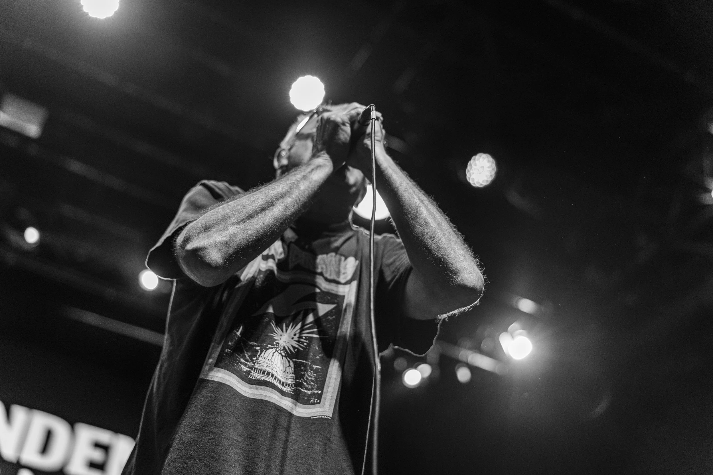 Descendents mtelus (c) JF Gosselin--71.JPG