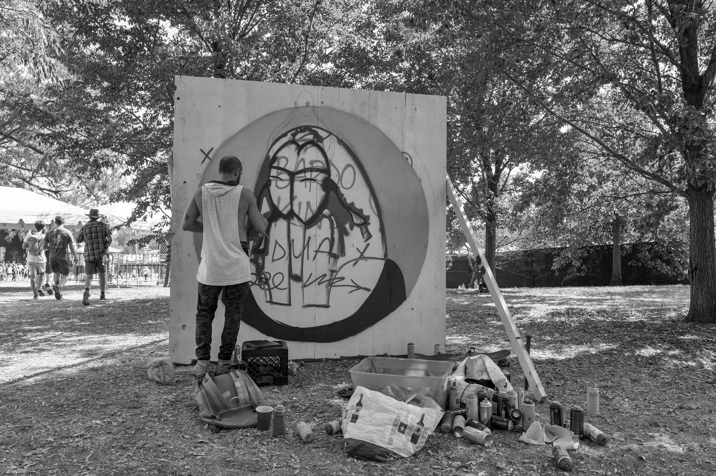 riot fest C1010342.jpg