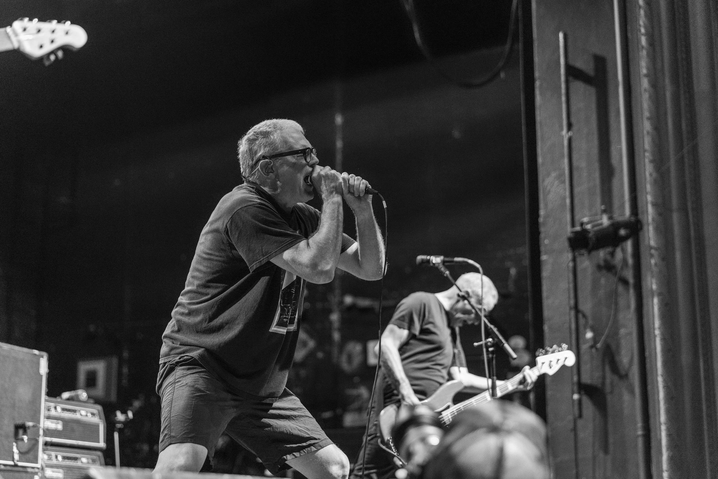 Descendents mtelus (c) JF Gosselin--58.JPG