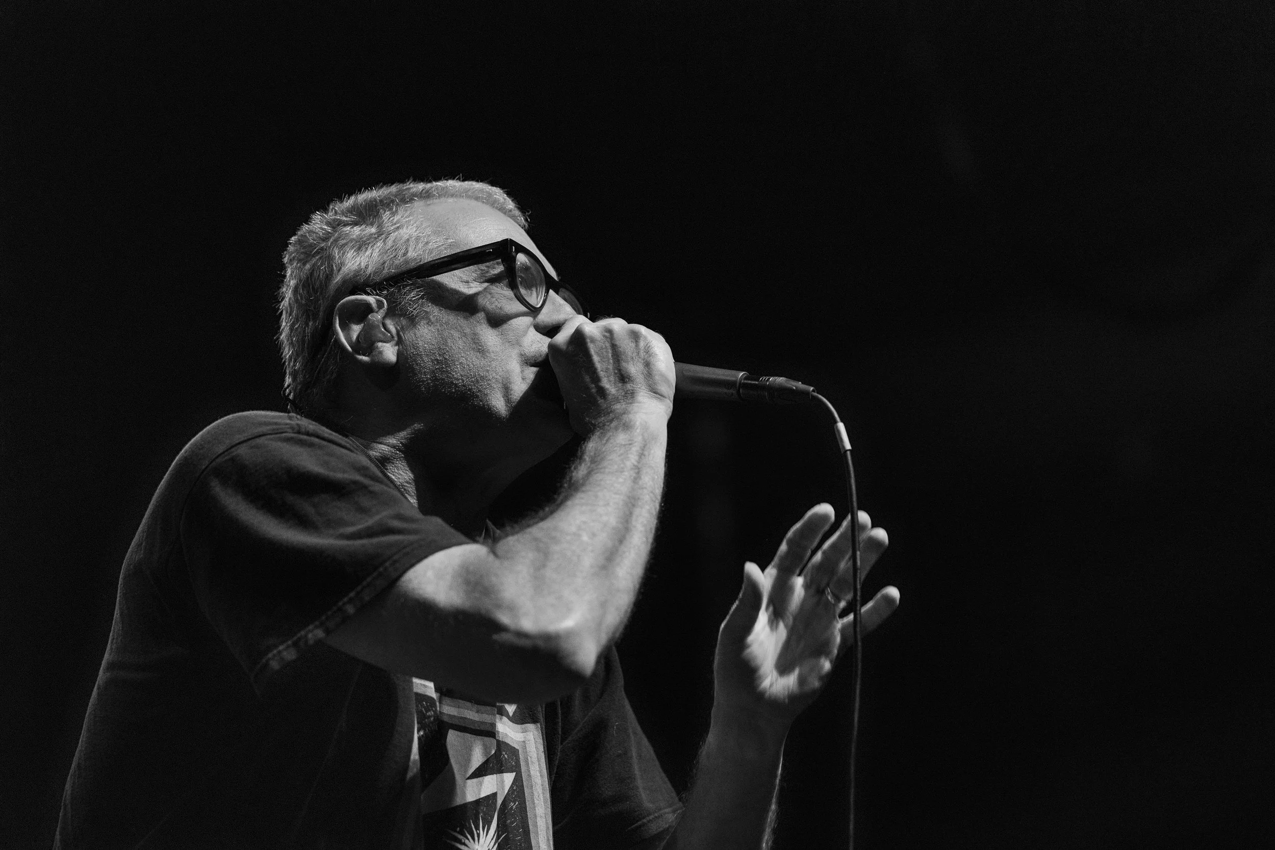 Descendents mtelus (c) JF Gosselin--73.JPG