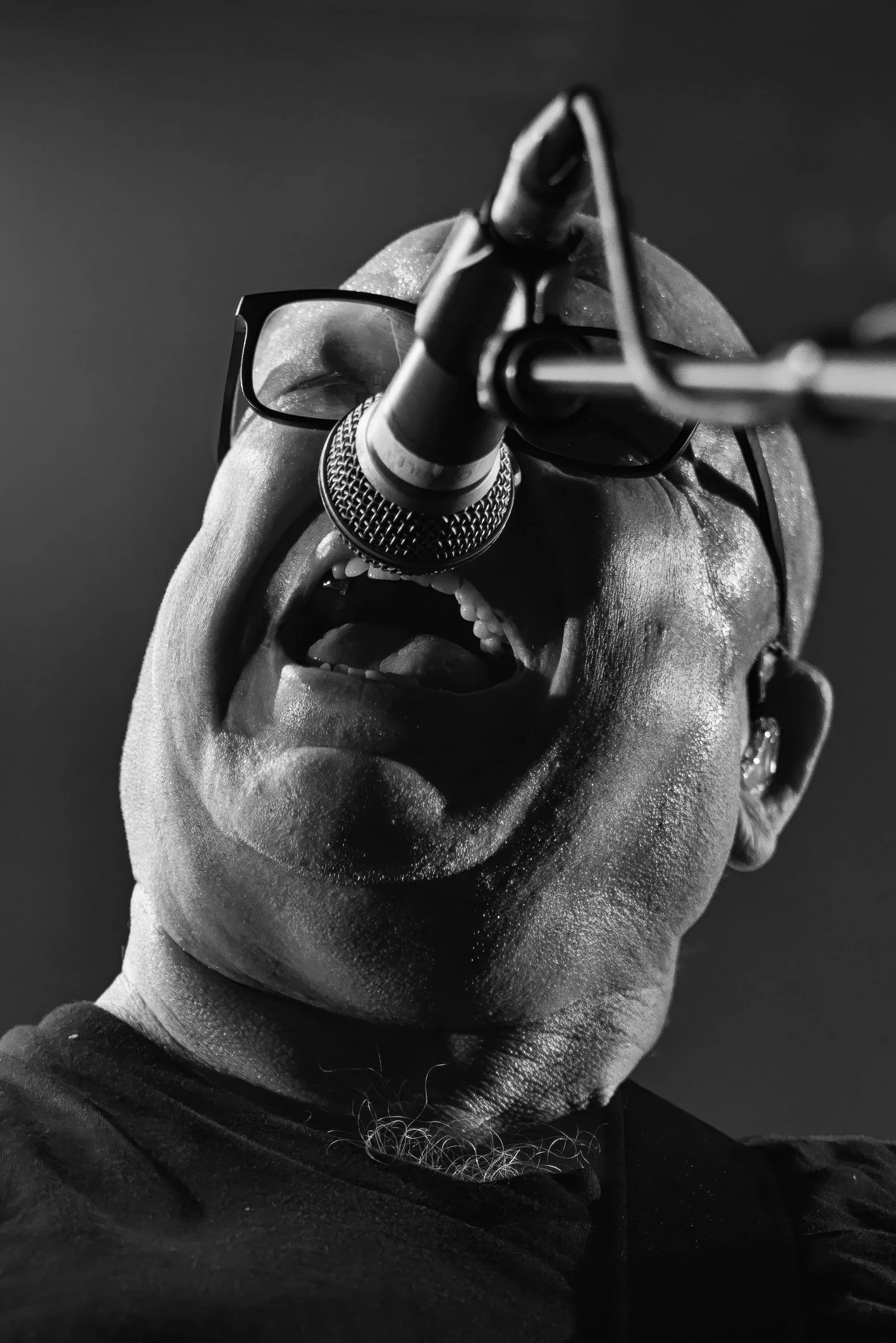 pixies-43.JPG
