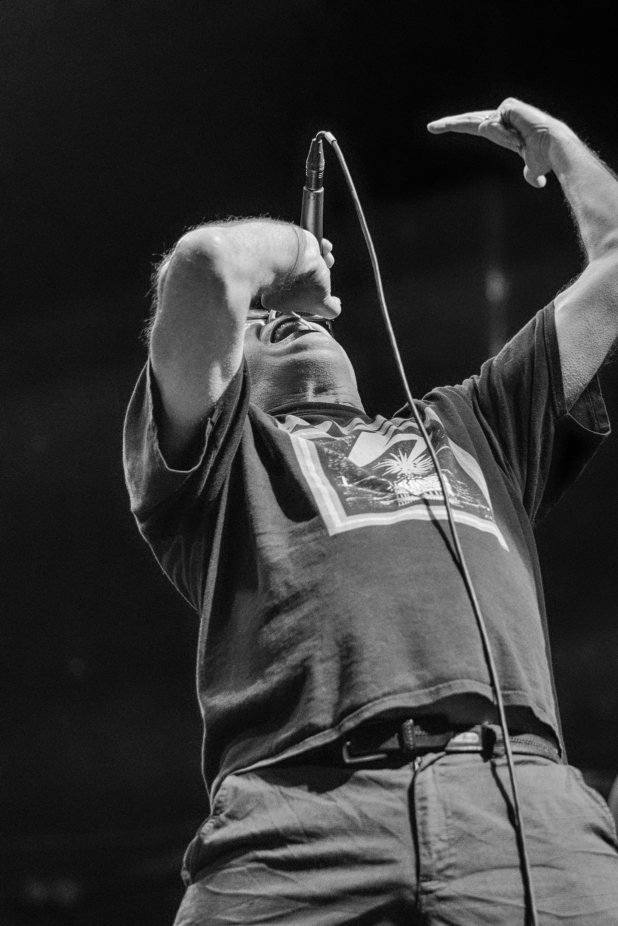Descendents mtelus (c) JF Gosselin--62.JPG