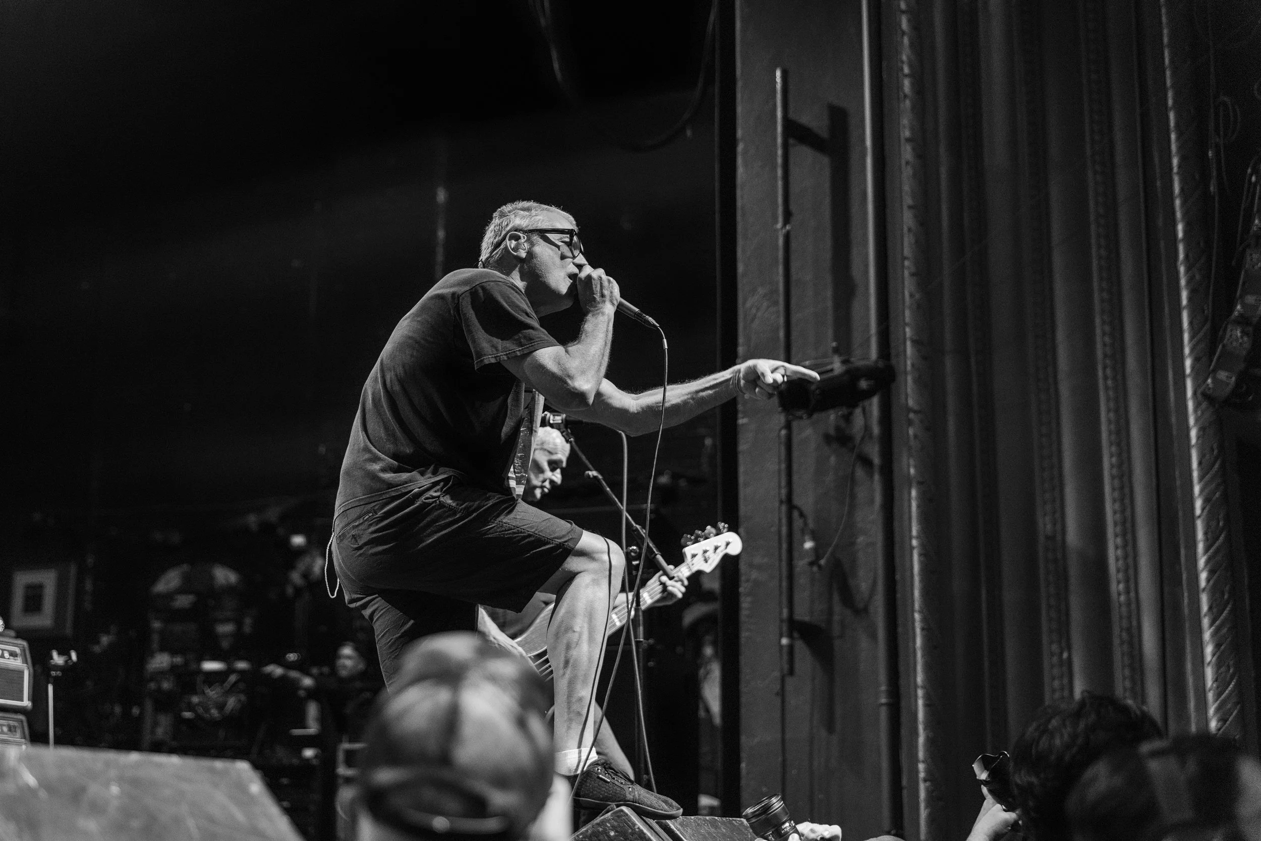 Descendents mtelus (c) JF Gosselin--57.JPG