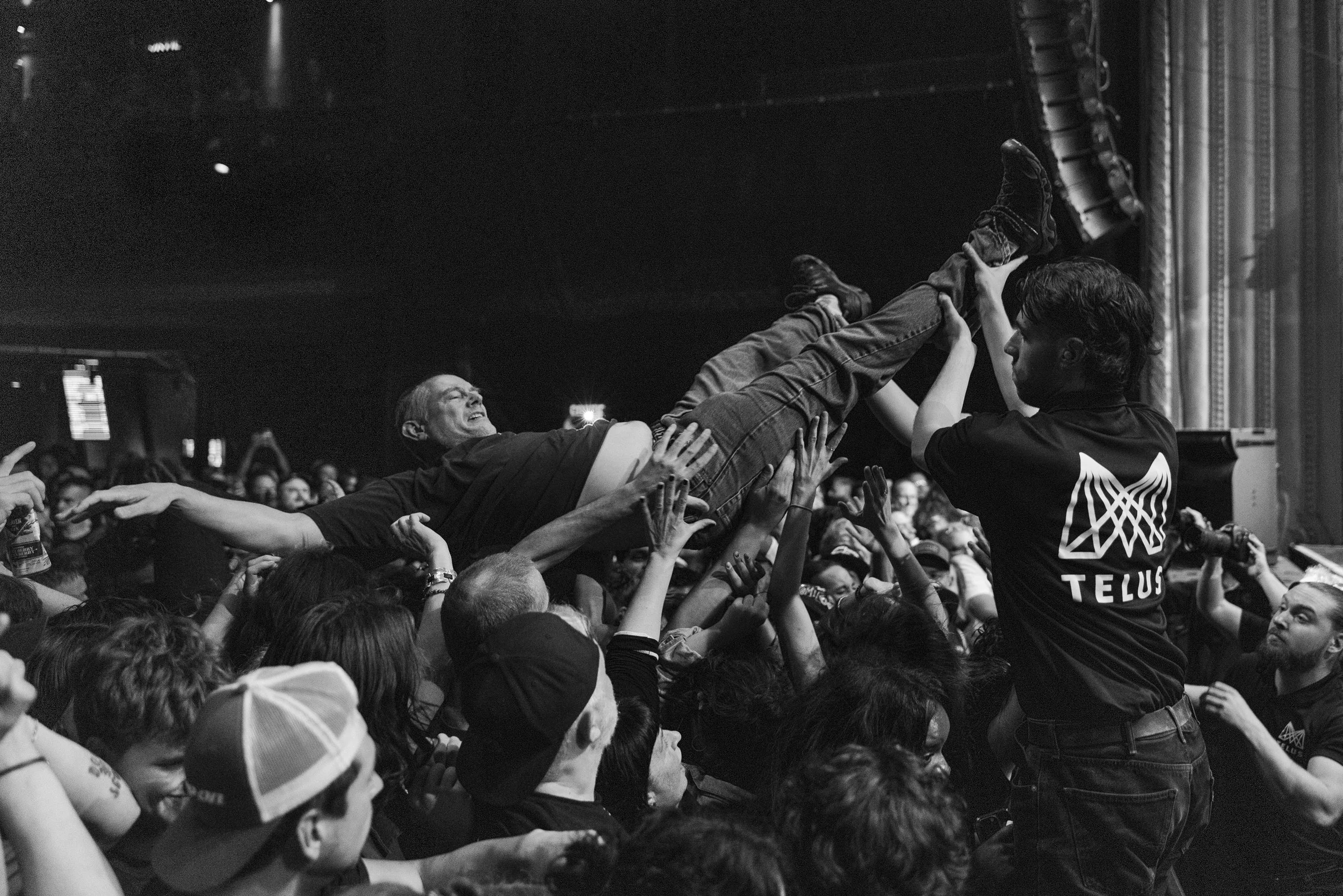 Descendents mtelus (c) JF Gosselin--84.JPG