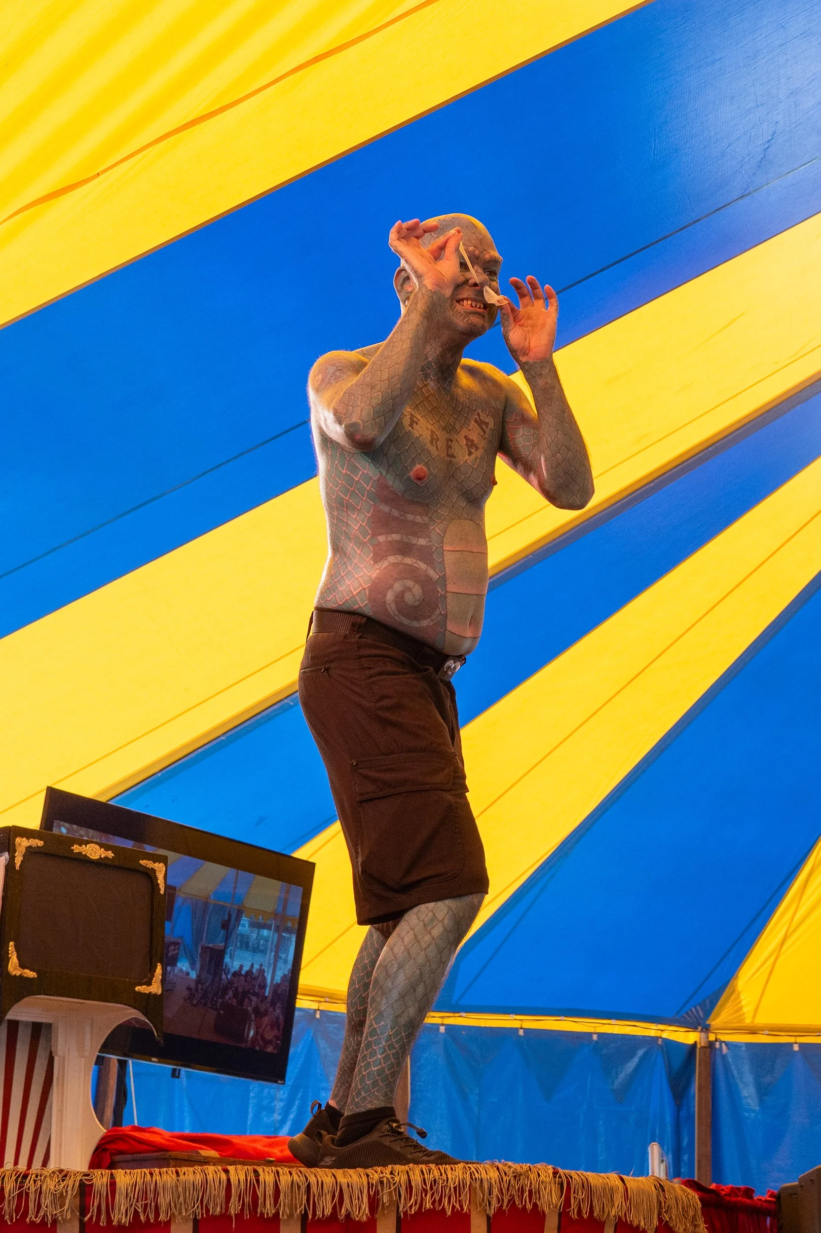 A tattooed man standing on a circus stage under a yellow and blue striped tent, holding a piece of cotton candy to his face.