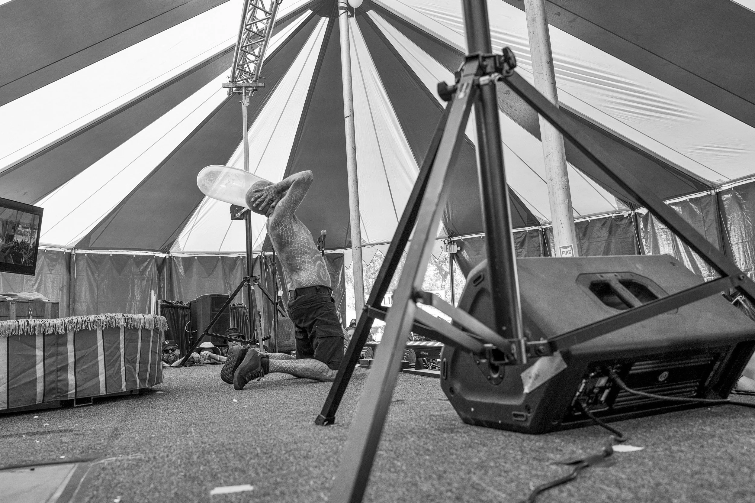 riot fest C1010545.jpg