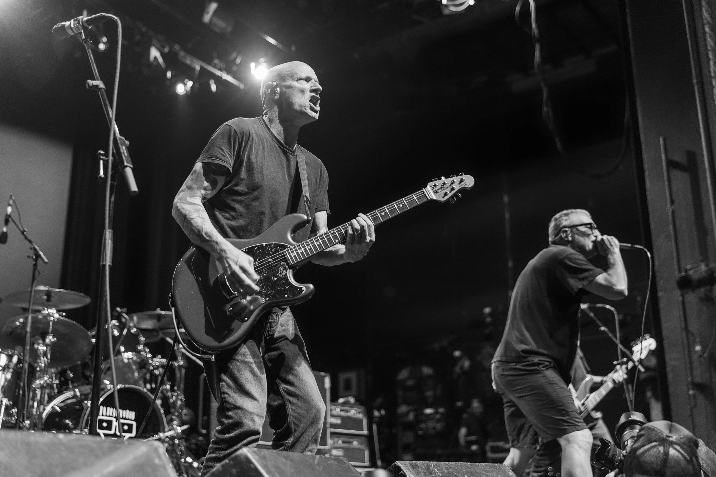 Descendents mtelus (c) JF Gosselin--66.JPG