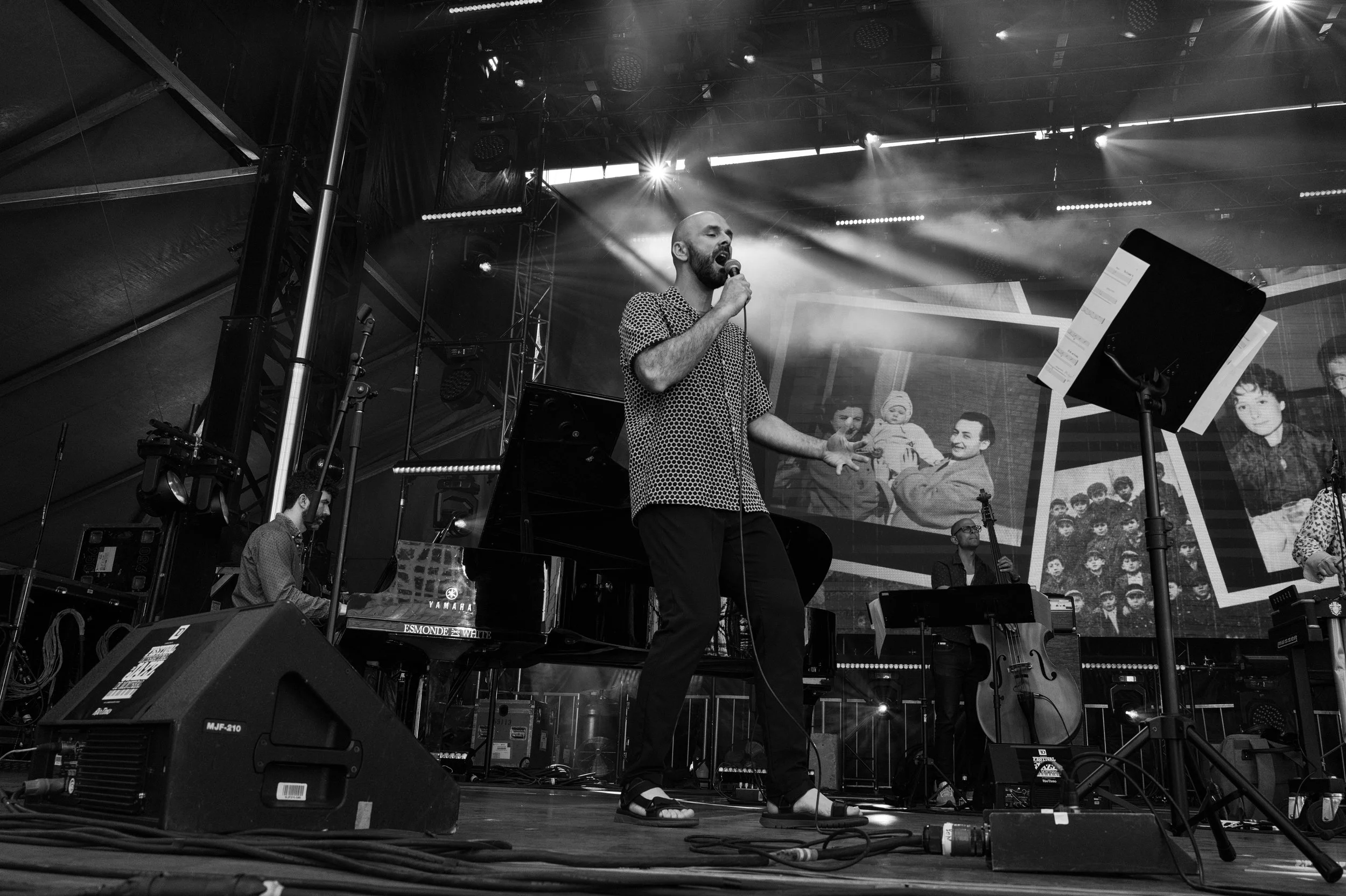 Allison Au with the Migrations Assemble-.JPG