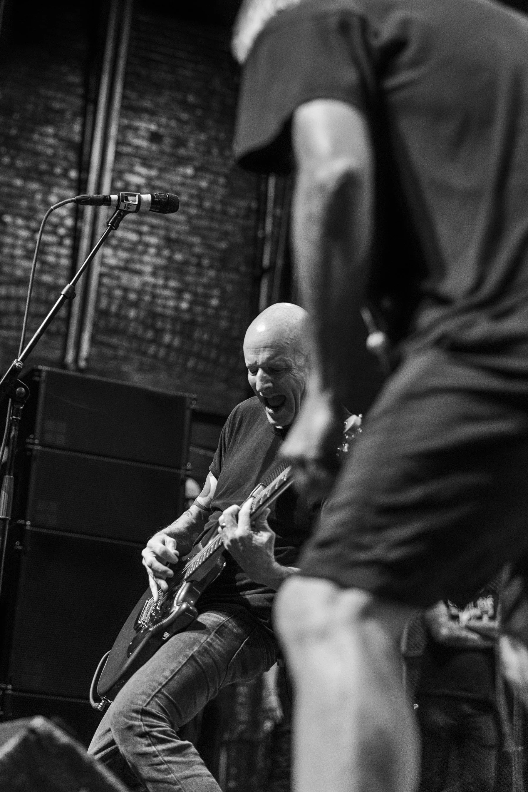 Descendents mtelus (c) JF Gosselin--77.JPG