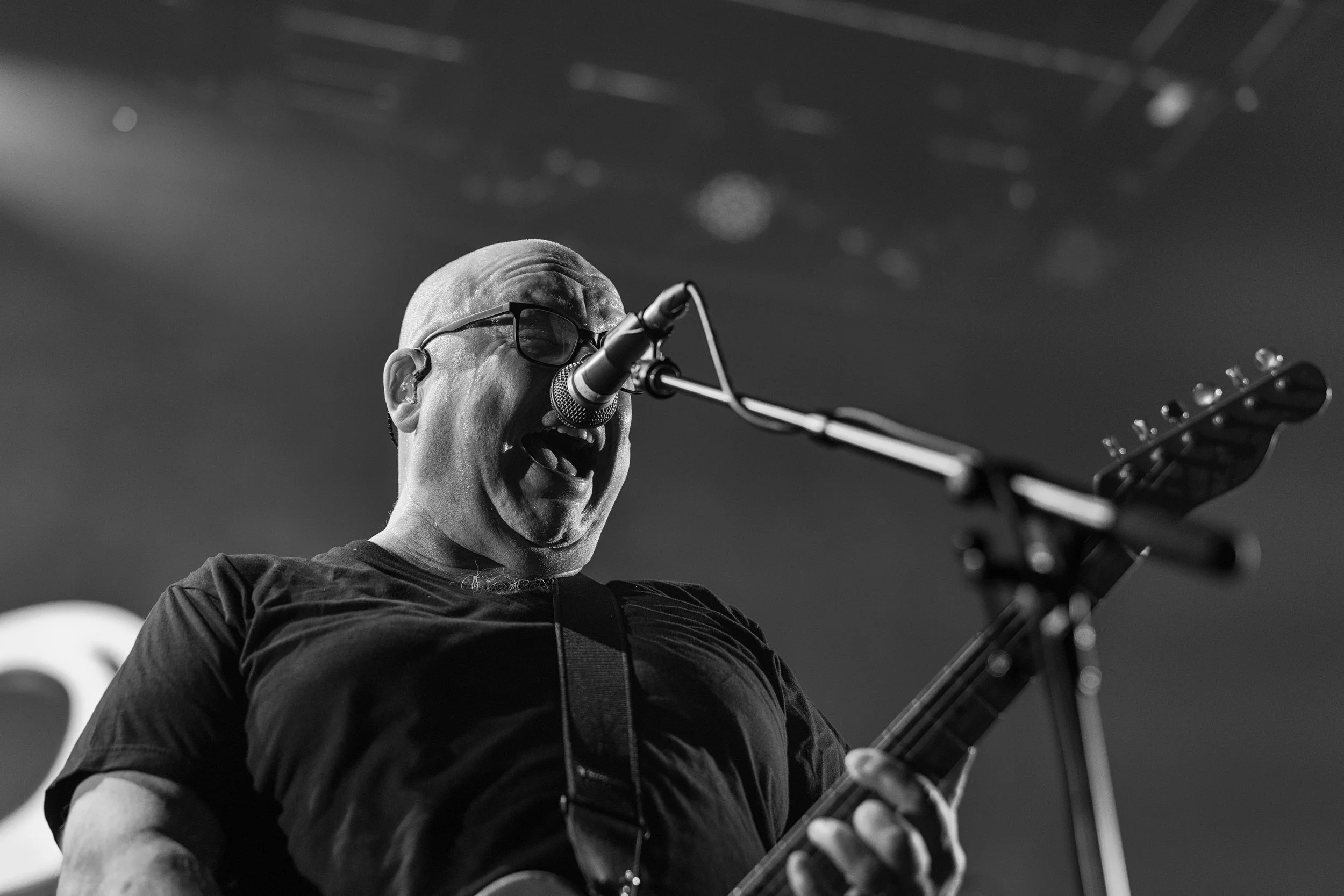 pixies-47.JPG
