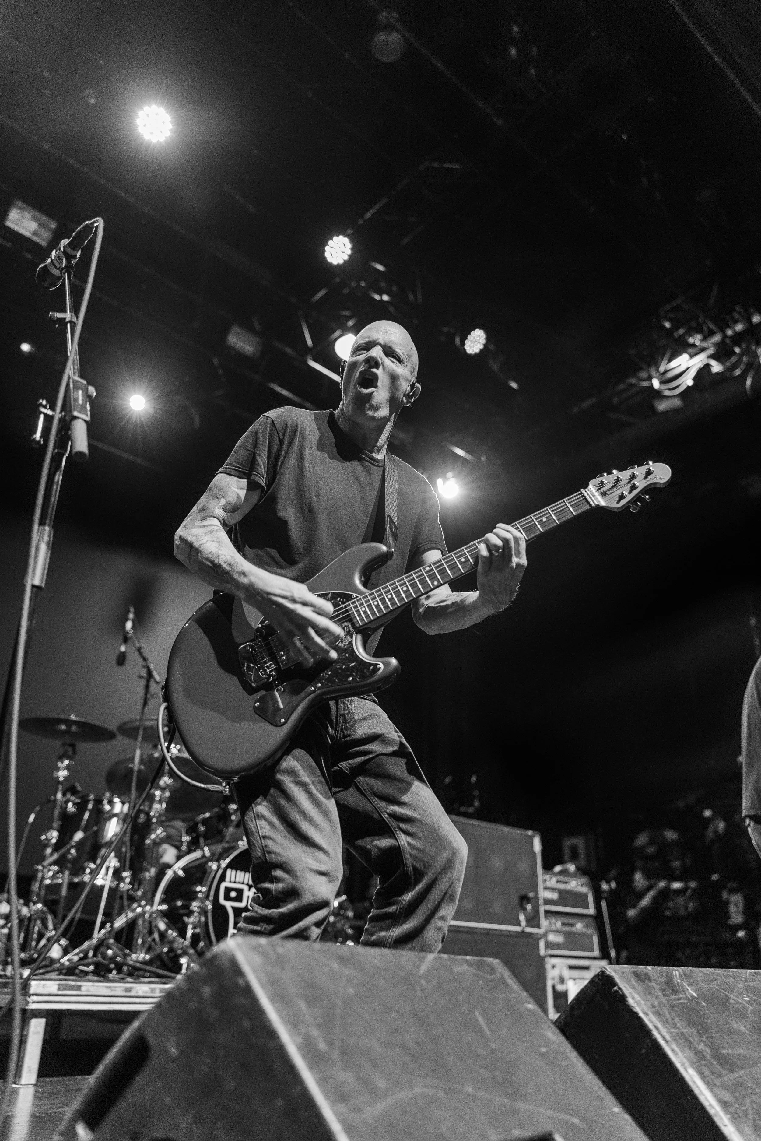 Descendents mtelus (c) JF Gosselin--54.JPG