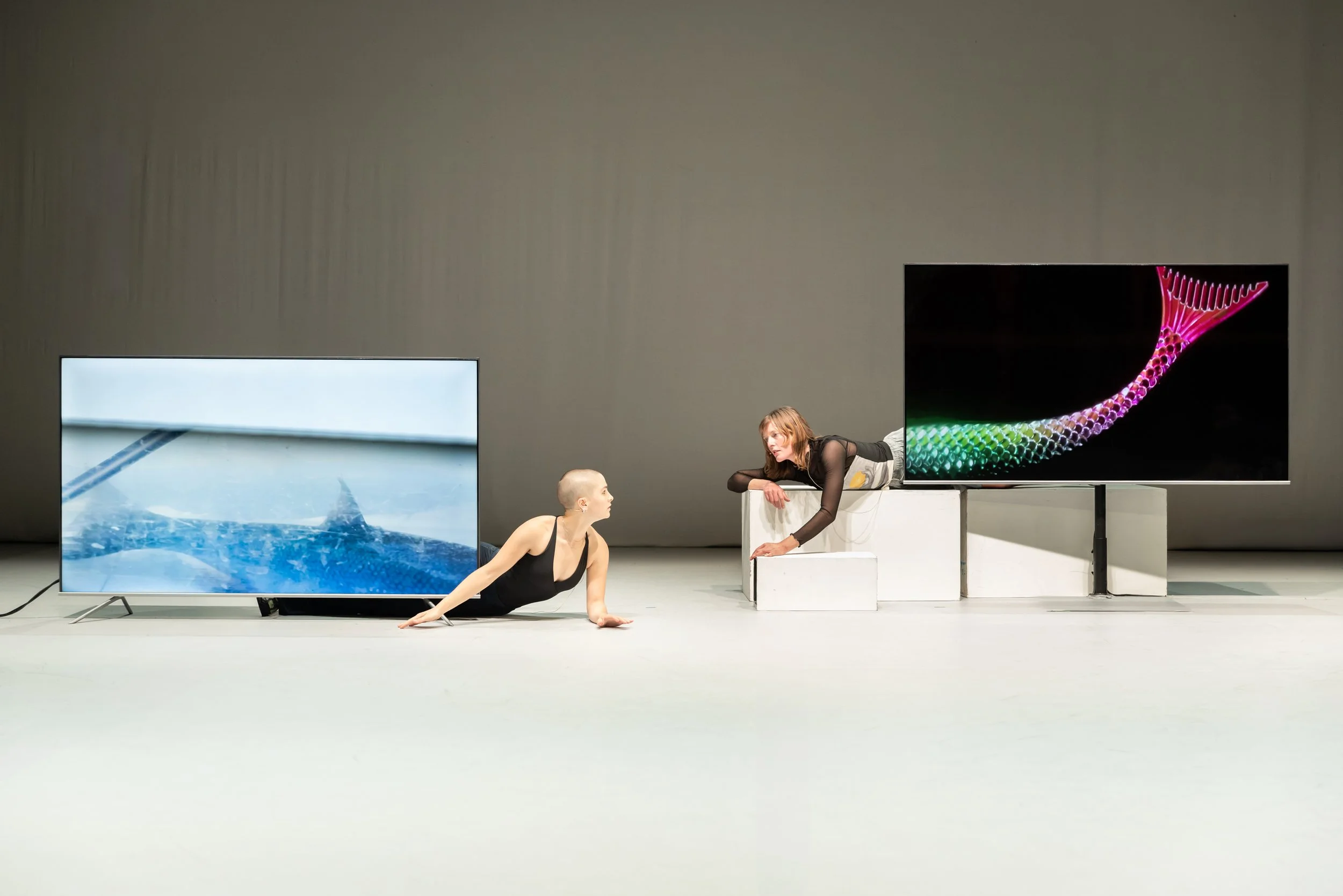 Body_Corp_Darren_Gill-0297.jpg