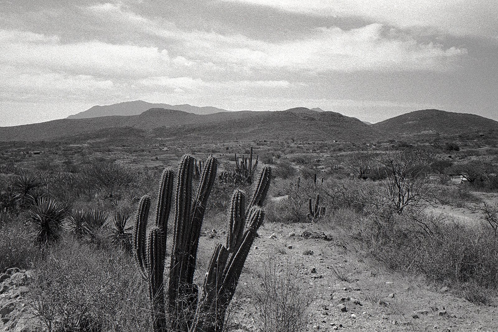 200208_Oaxaca_Mezcal_001.jpg