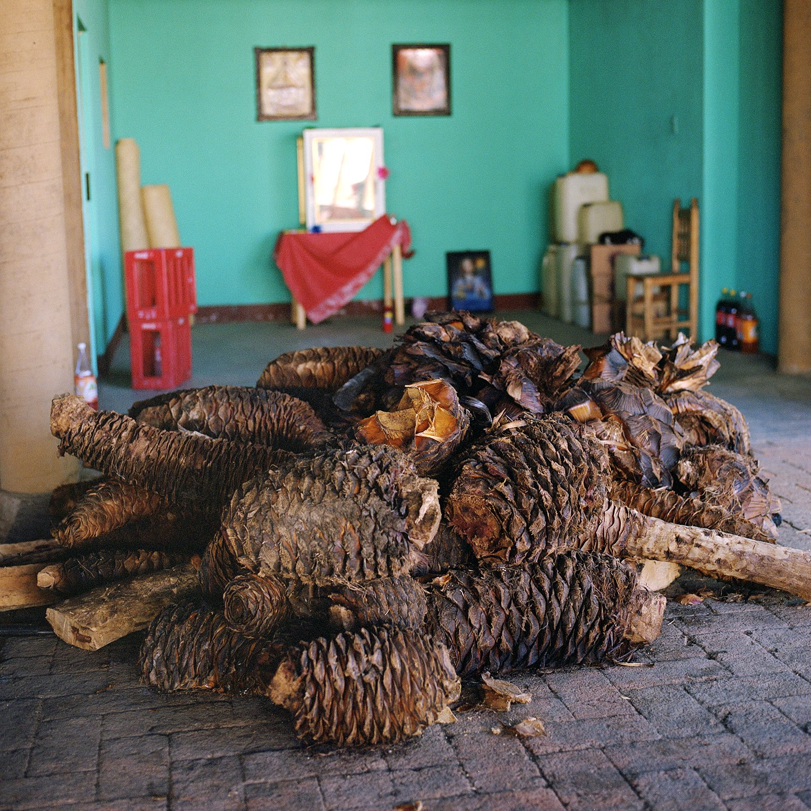 200208_Oaxaca_Mezcal_015.jpg