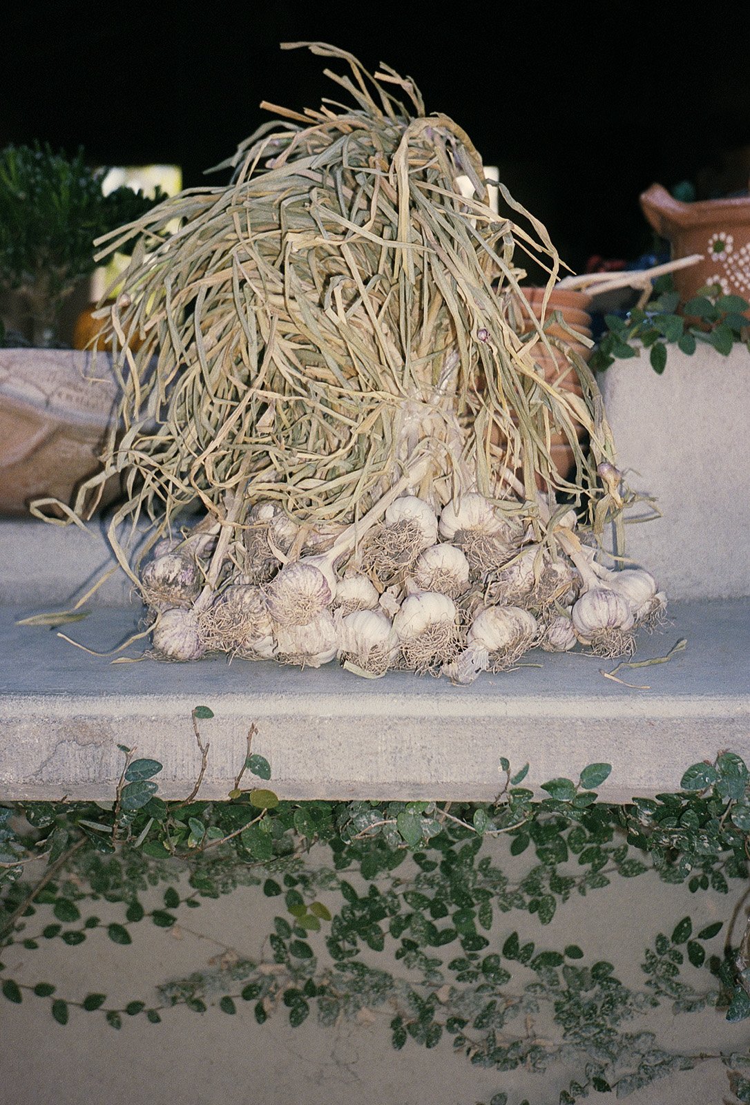 200208_Oaxaca_OaxacaCity_176 copy.jpg