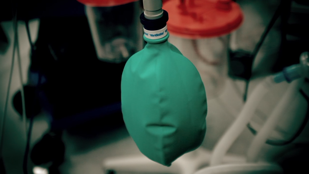 Screen Shot 2024-08-20 at 9.53.17 AM.png