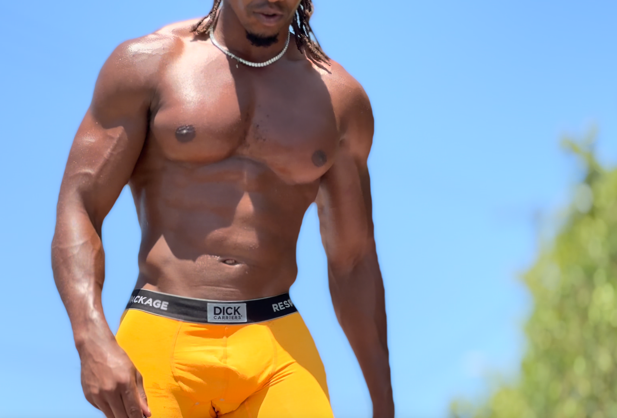 Screen Shot 2024-08-18 at 6.06.39 PM.png