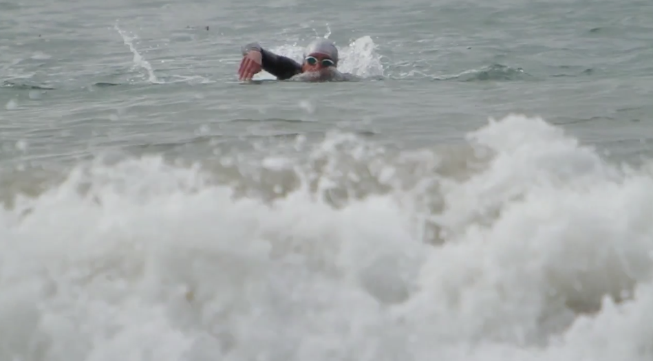 Screen Shot 2024-08-19 at 3.22.57 PM.png