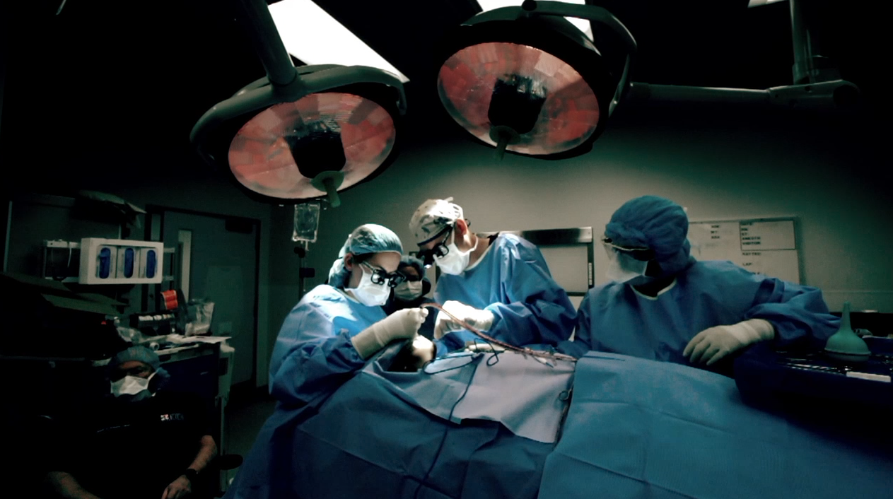 Screen Shot 2024-08-20 at 9.52.08 AM.png