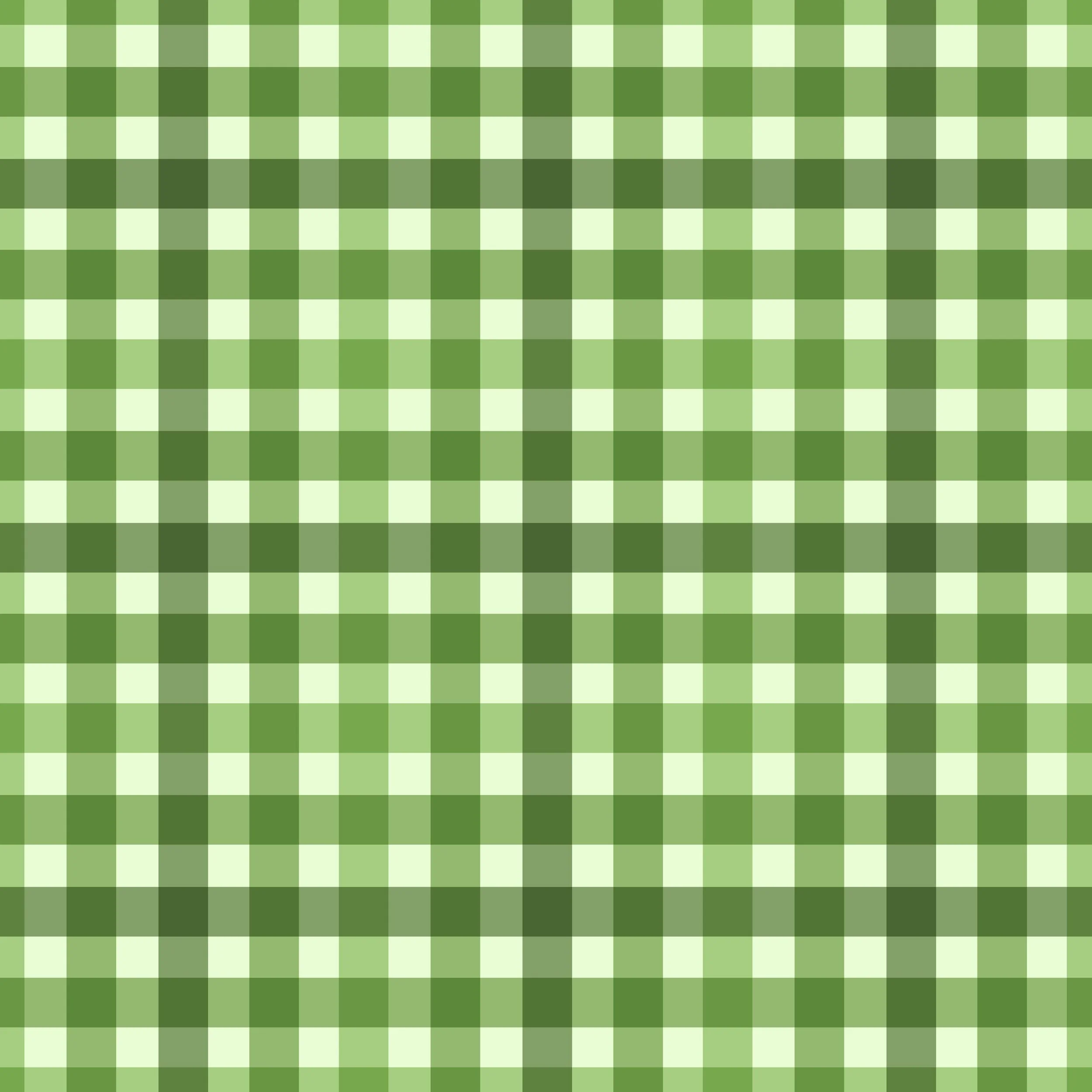 stpaddys_POR_gingham.jpg