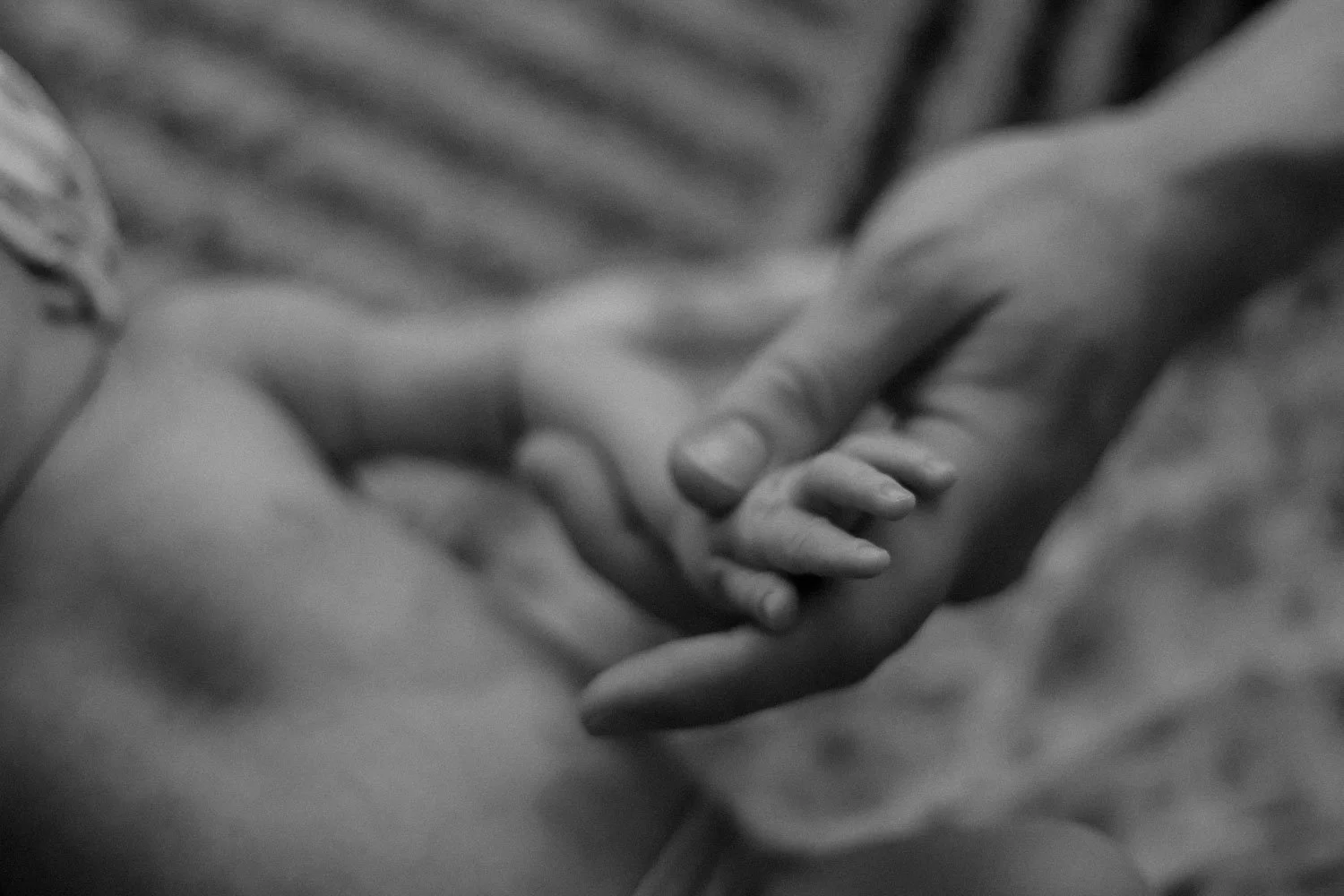 WisconsinNewbornPhotographerC.Mae-120.jpg