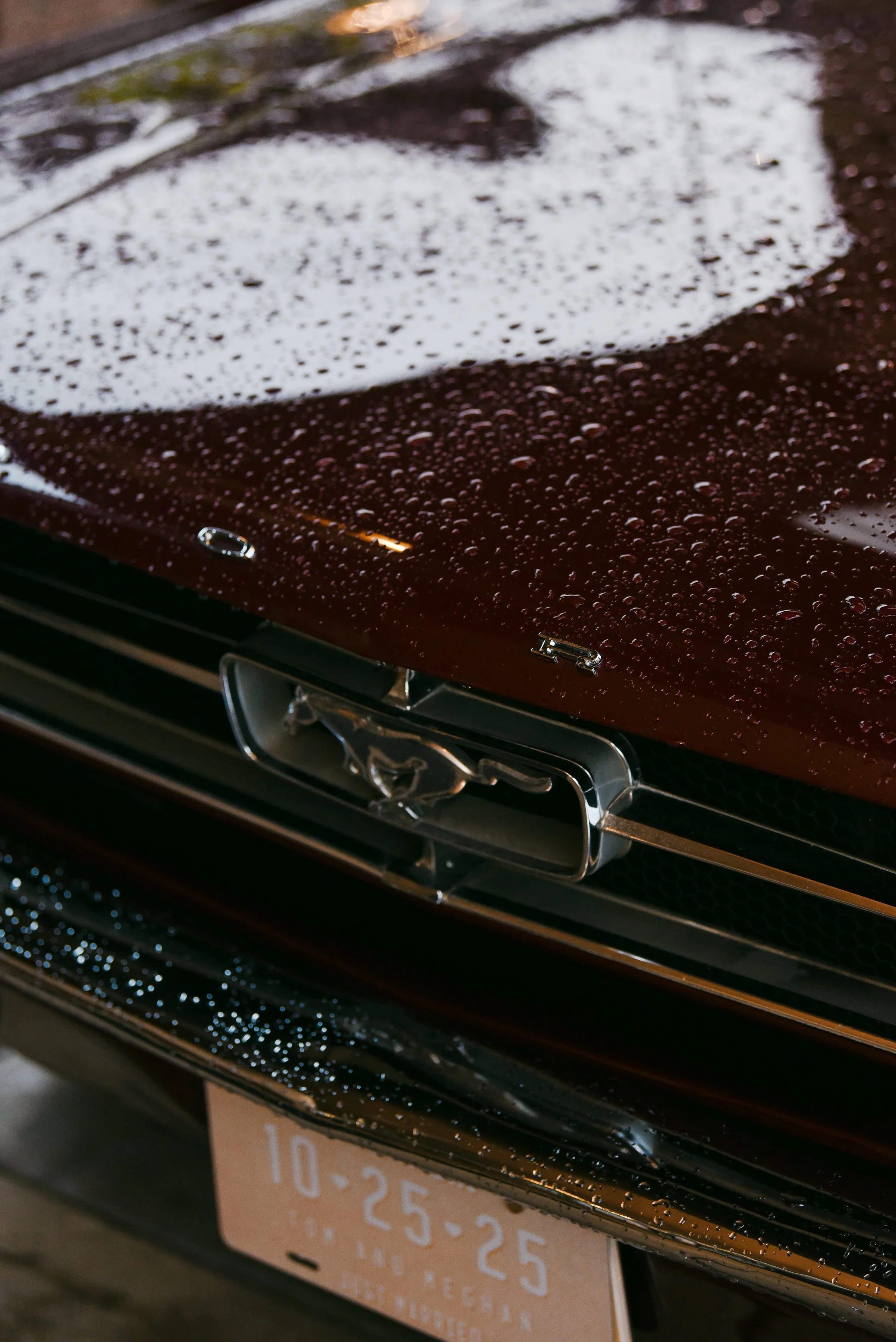 Close-up image of the front of a dark red Ford Mustang with water droplets on the hood and a visible chrome emblem of a running horse, indicating the Mustang model. Part of the front grille and a partial orange license plate are also visible.