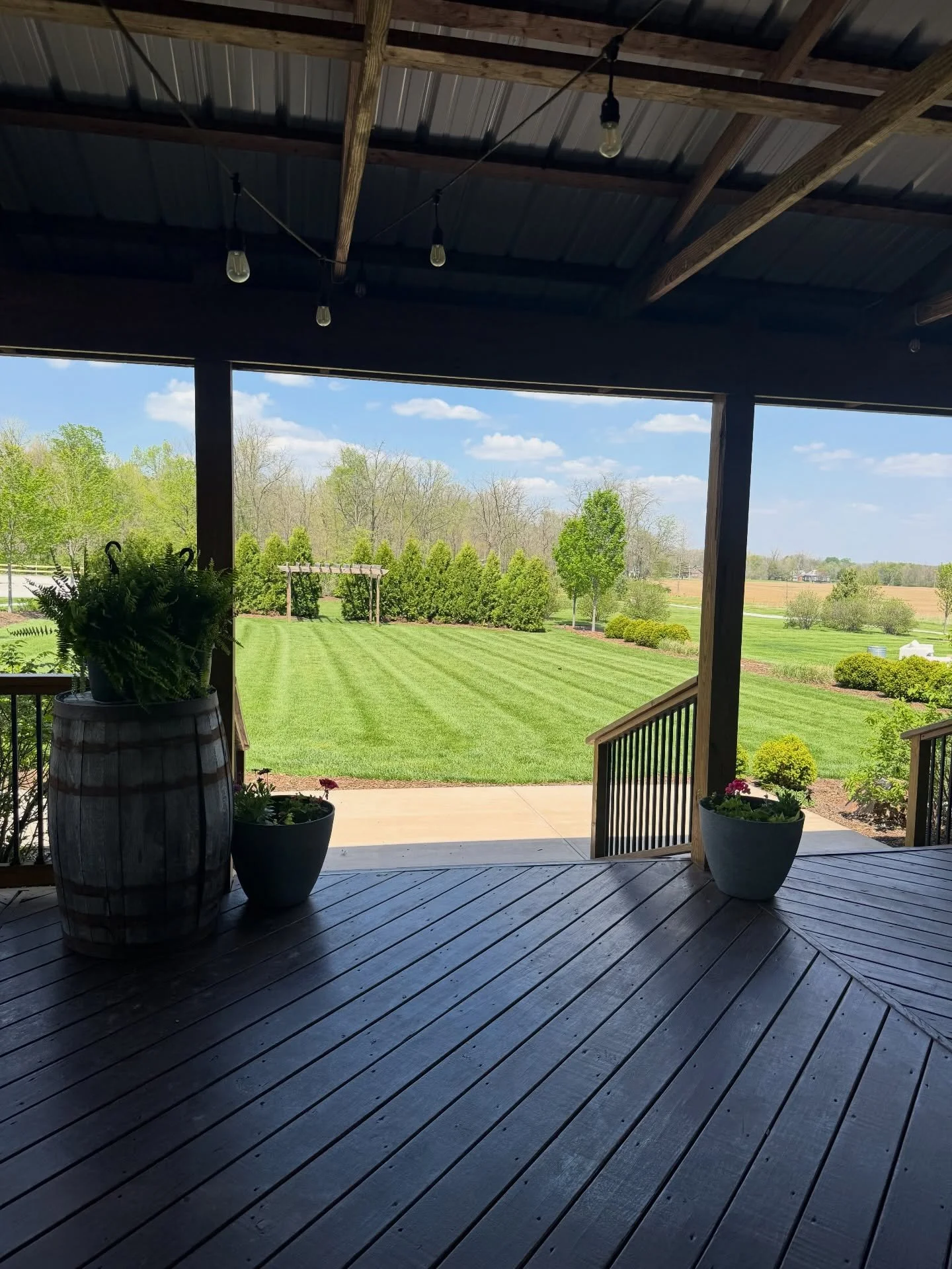 Spring time beauty 🌼🌱🪺