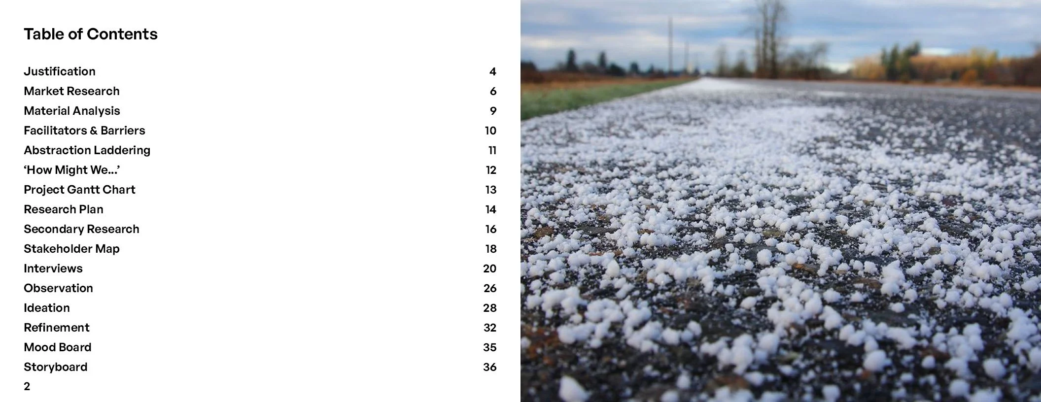 WEBProcess Book Project 22.jpg