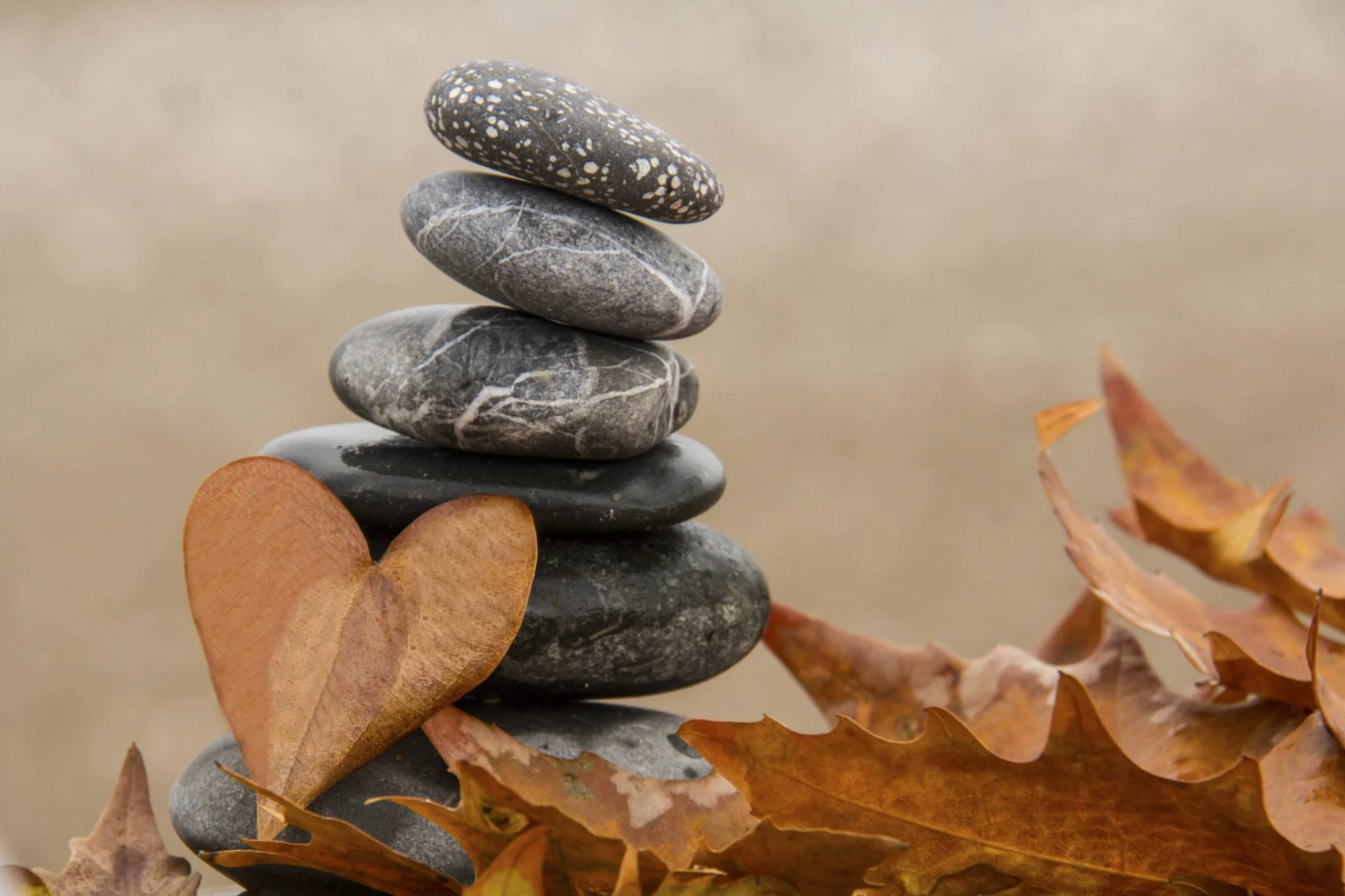 When “Happy Thanksgiving” Doesn’t Feel So Happy