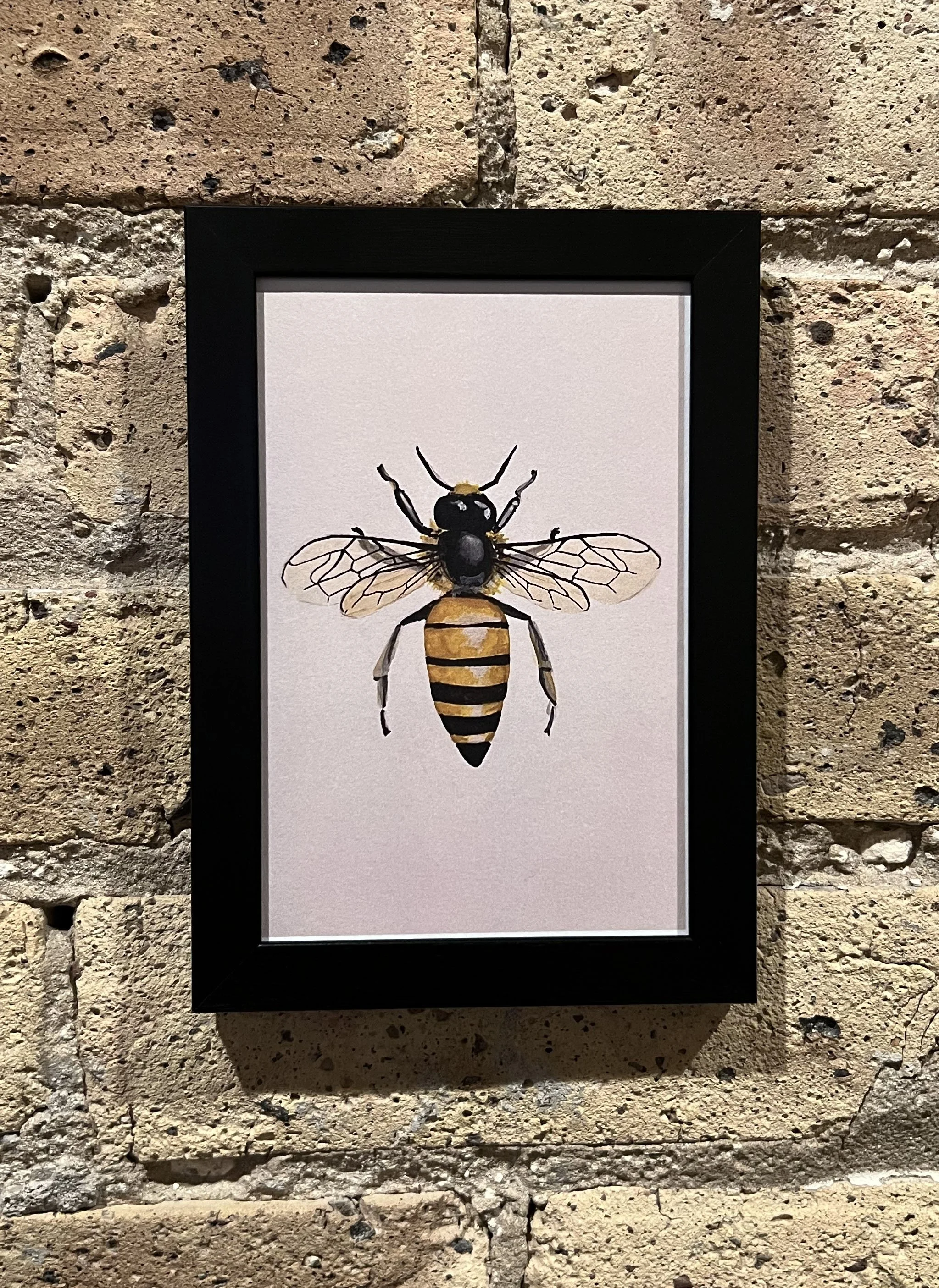 Bee framed.jpg