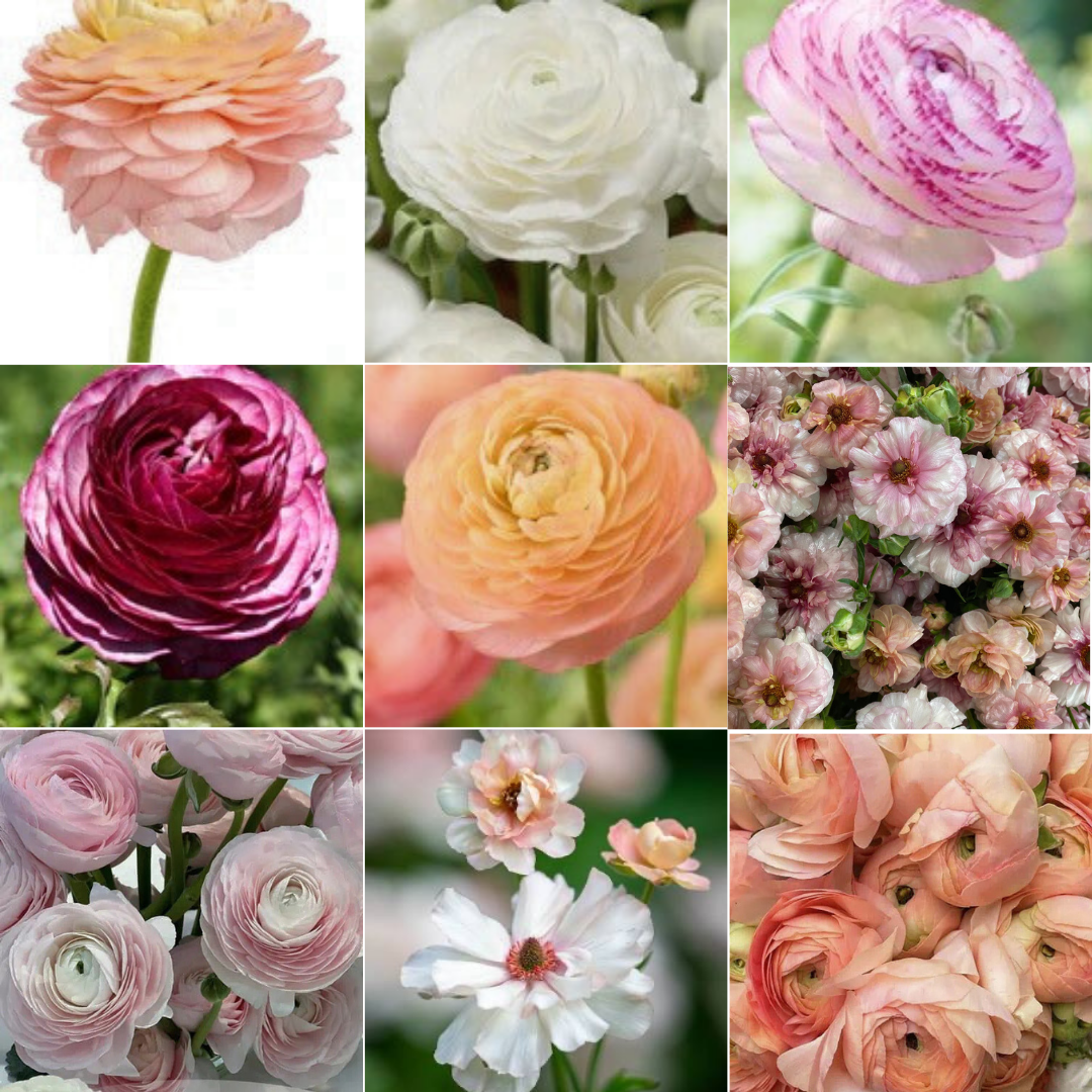 There are so many things to do and explore in the springtime!.zip - 4.png