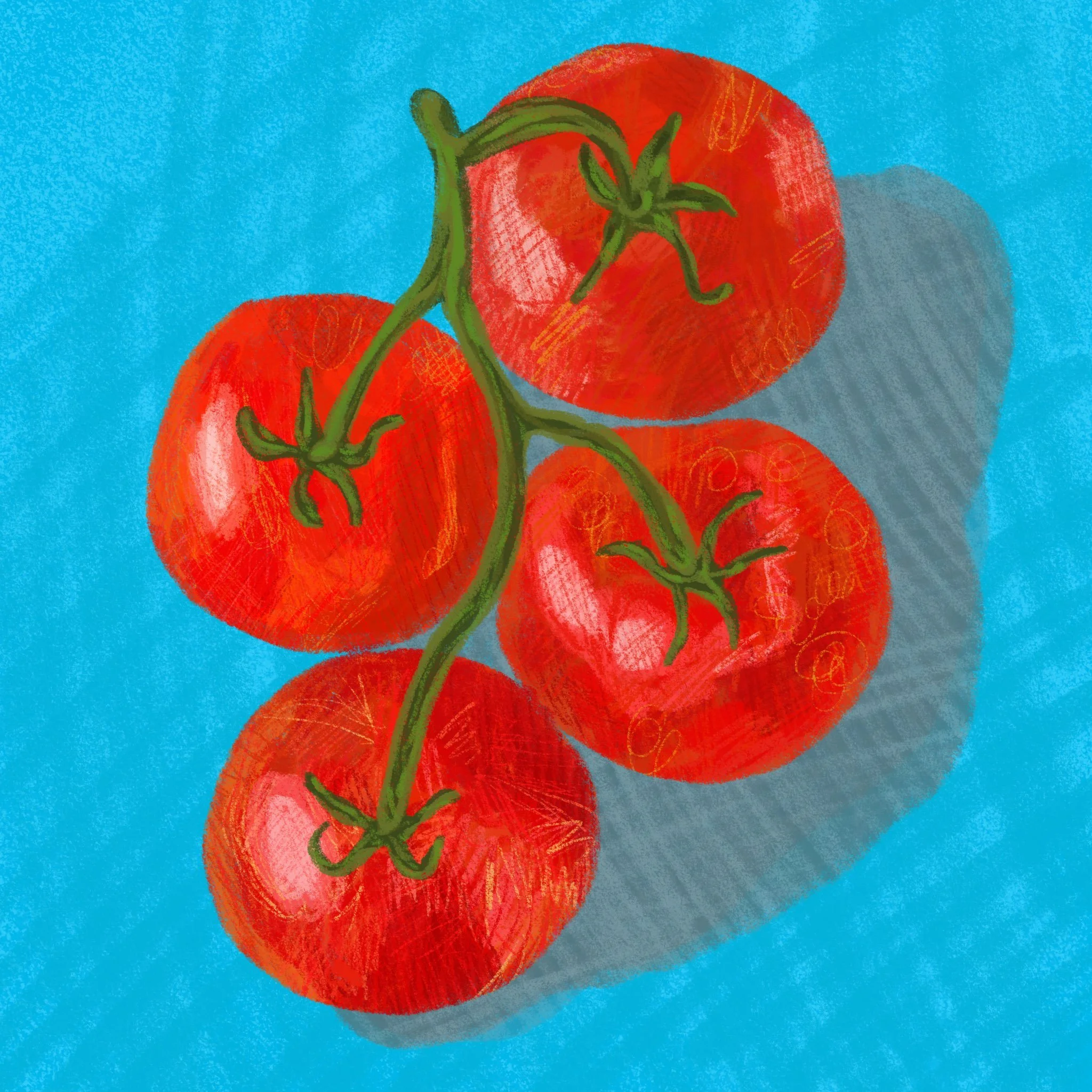 End of tomato season
.
#illustration #foodillustration #design #art #pdxartist