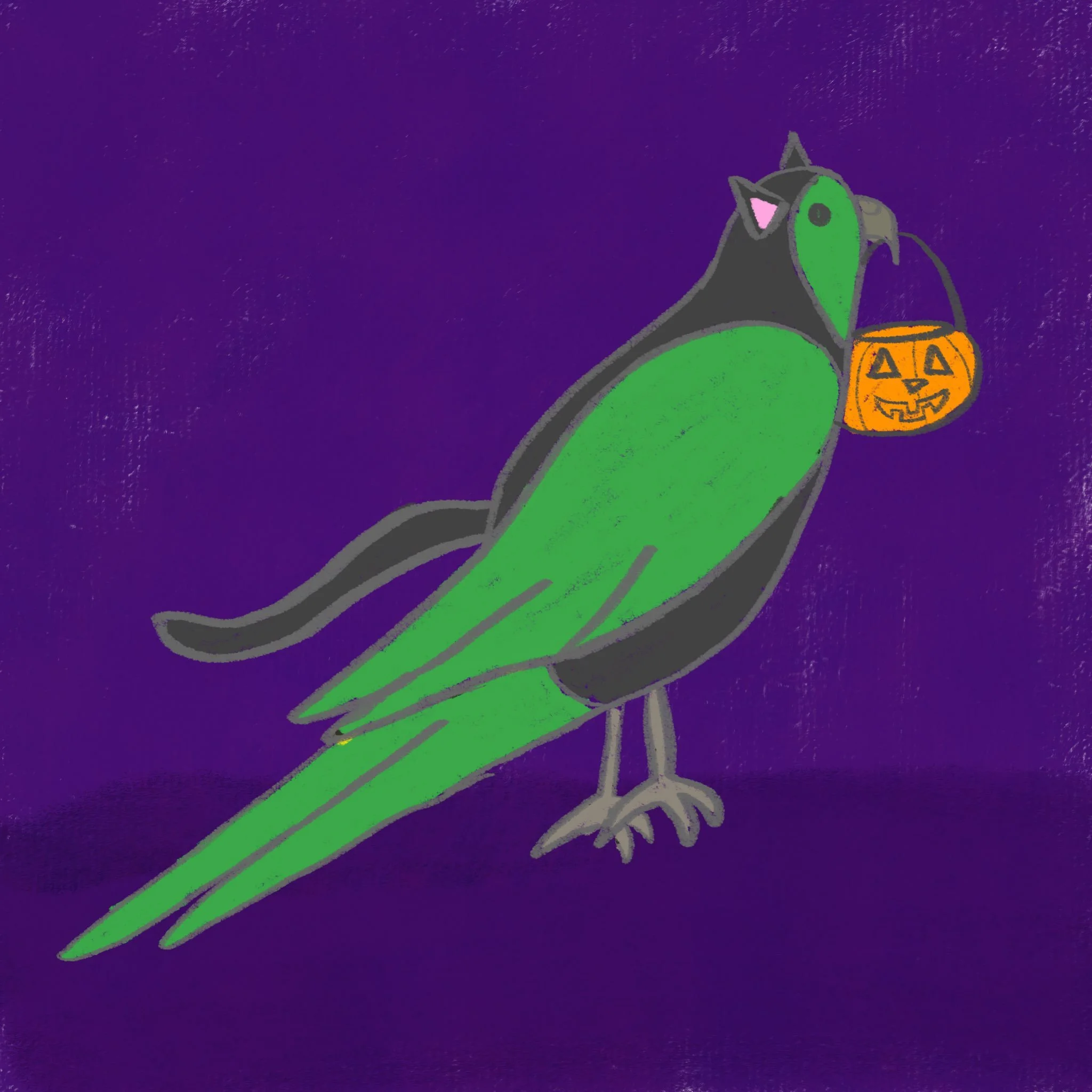 Costumes at the ready? 
.
#illustration #sketch #doodle #birds #halloweencostume