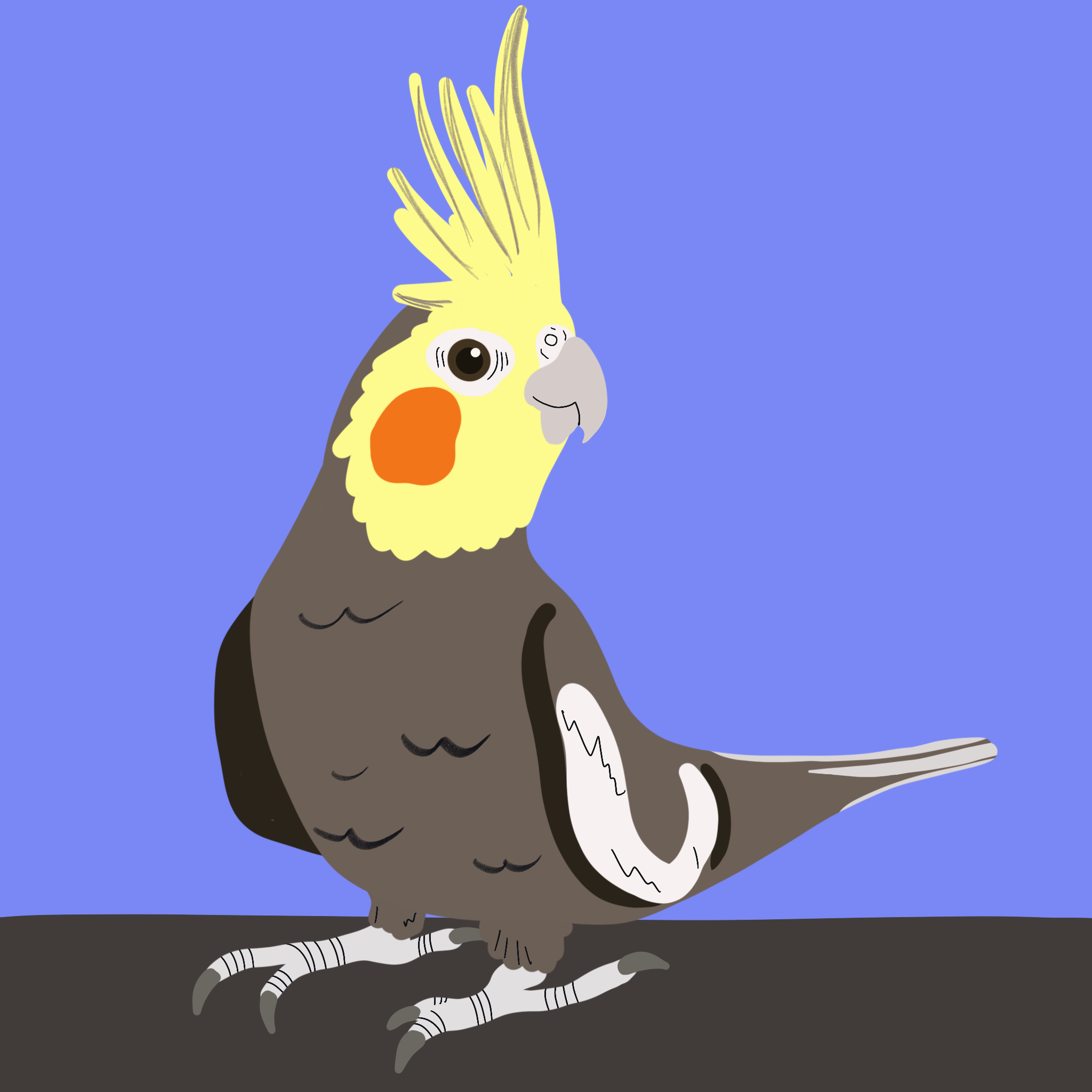 Untitled_Artwork 1.png