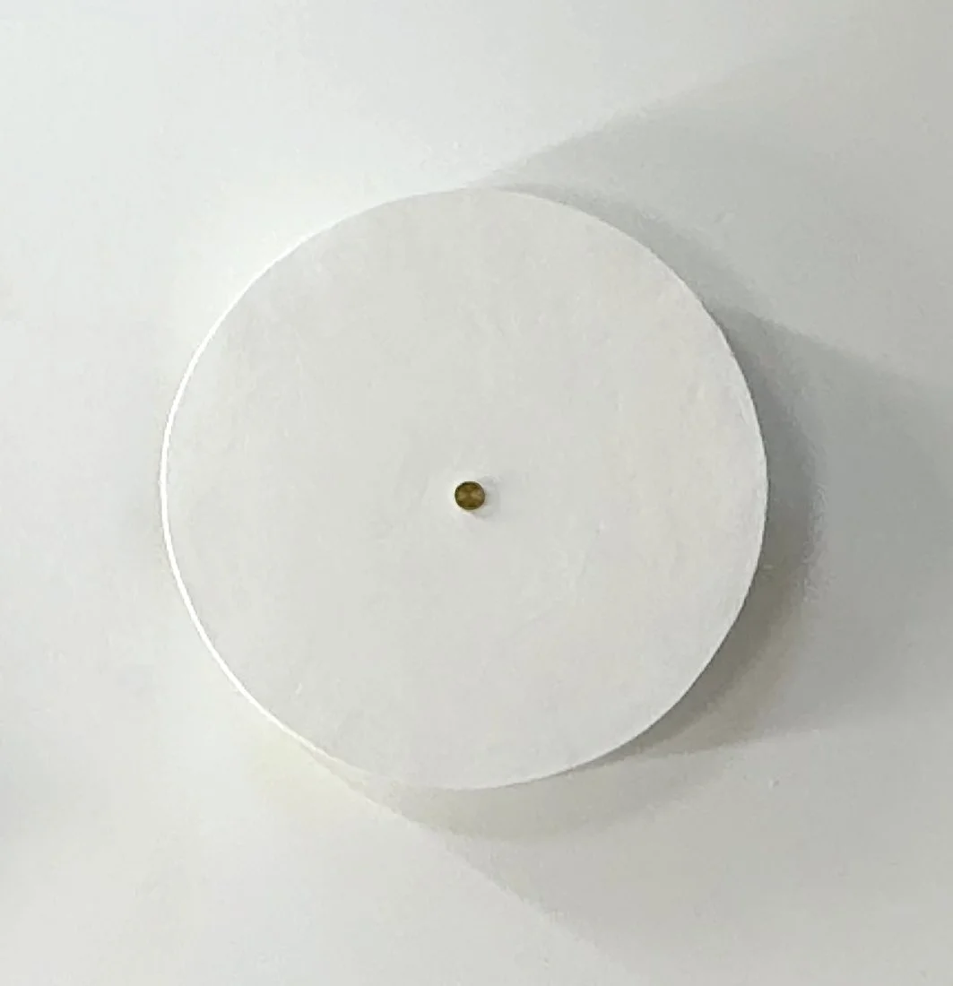 OBSCURA LISCIO ROUND