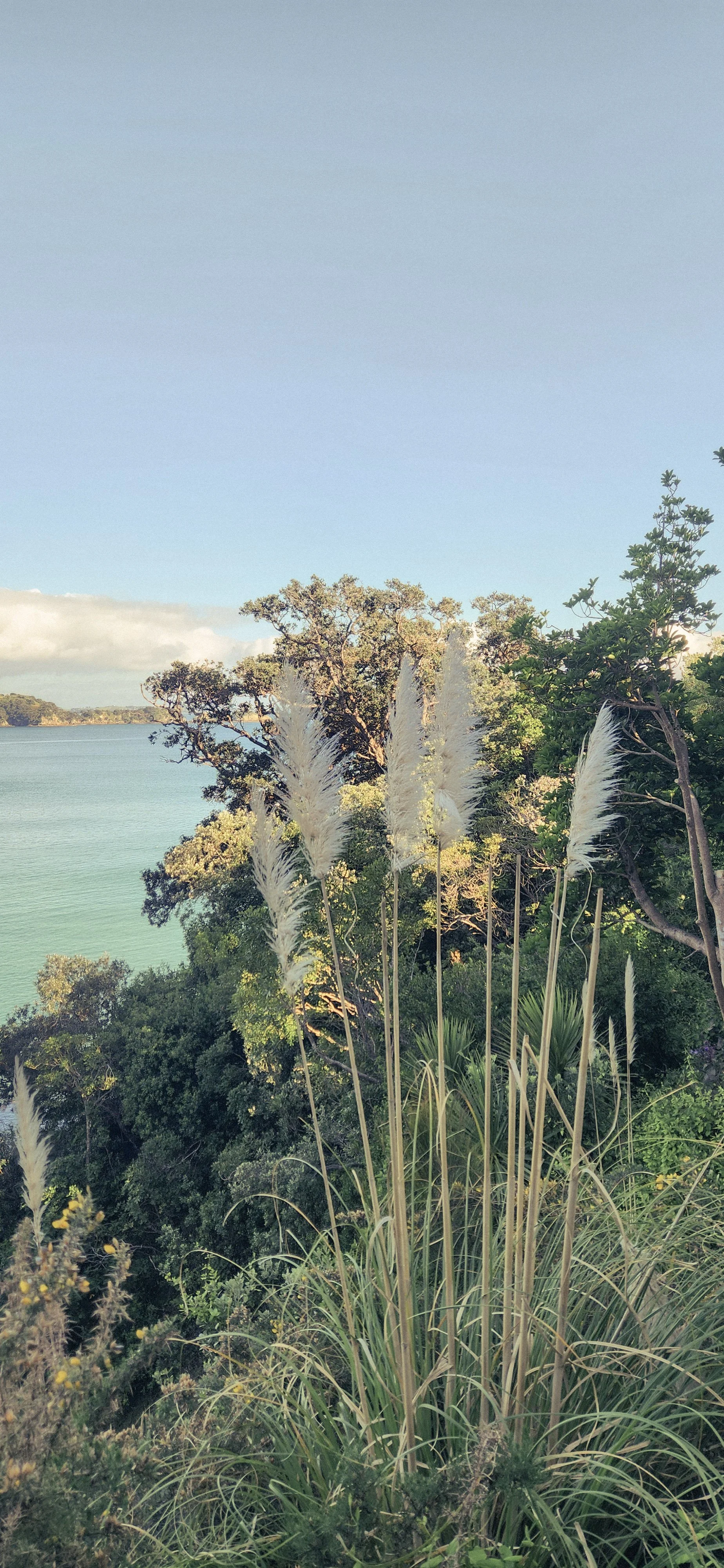 Waiheke Island