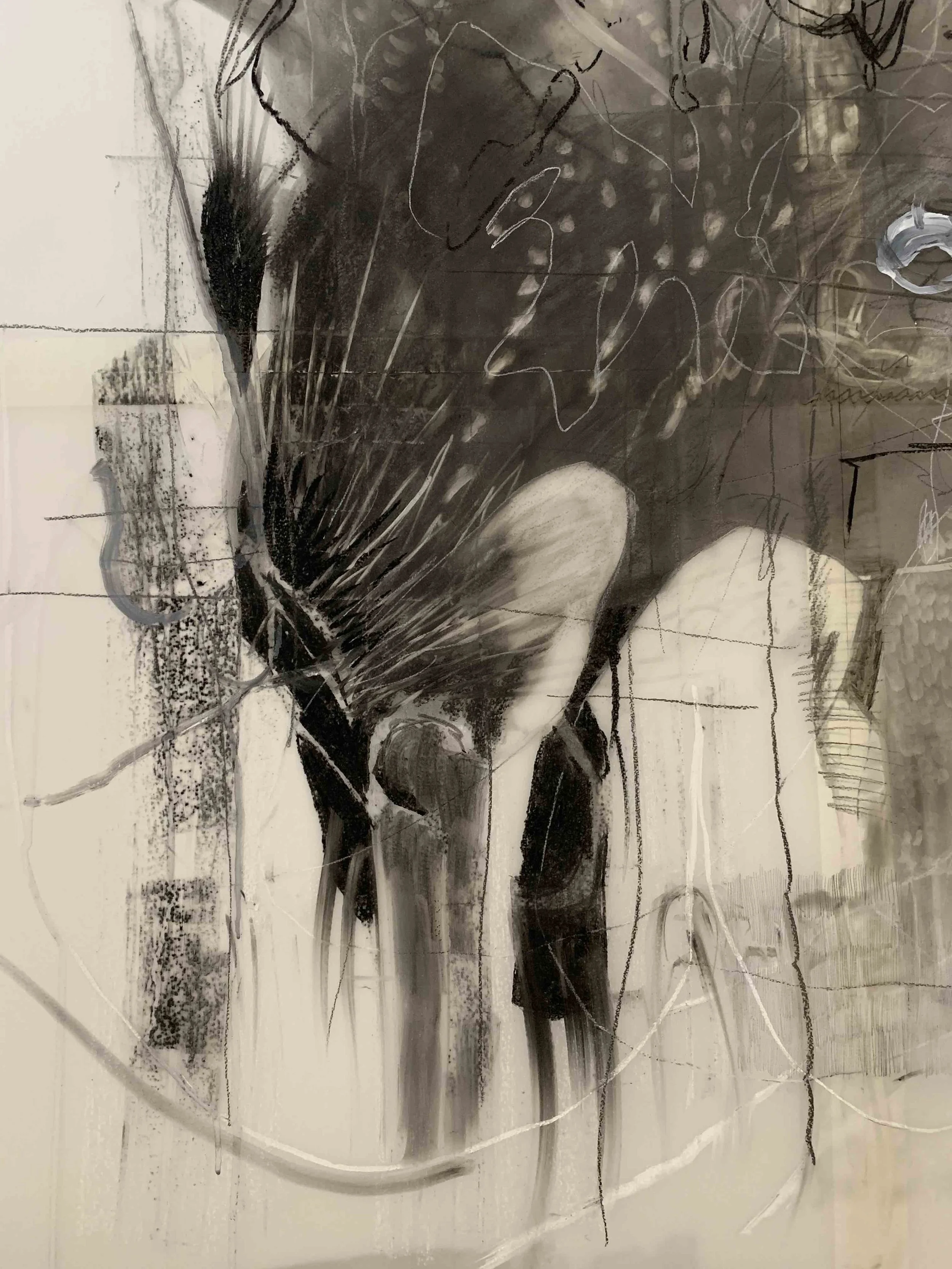 Pia Ednie-Brown, Michael Chapman, Beth George _ Kate Alida Mullen, Surrogate Drawing, 2019, Thinking Rooms for Enacting Knowledges, Deakin University (Vic)_Detail documentation by Beth George, 2019_III.jpg