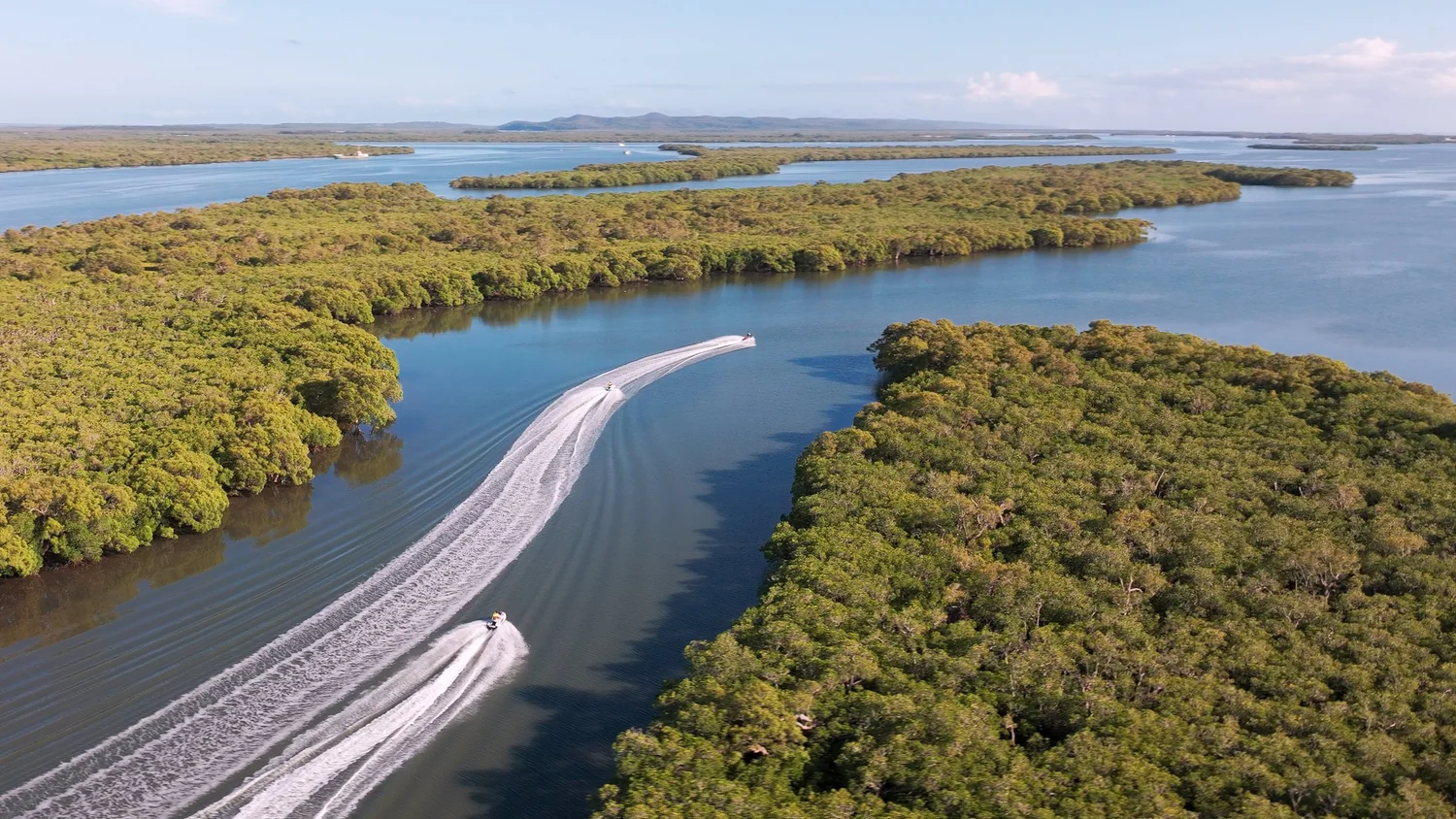 Jetski weaving through ancient mangrove forest corridor on the Gold Coast