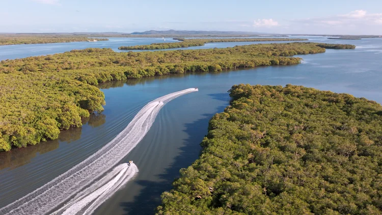 Jetski in the Gold Coast mangroves