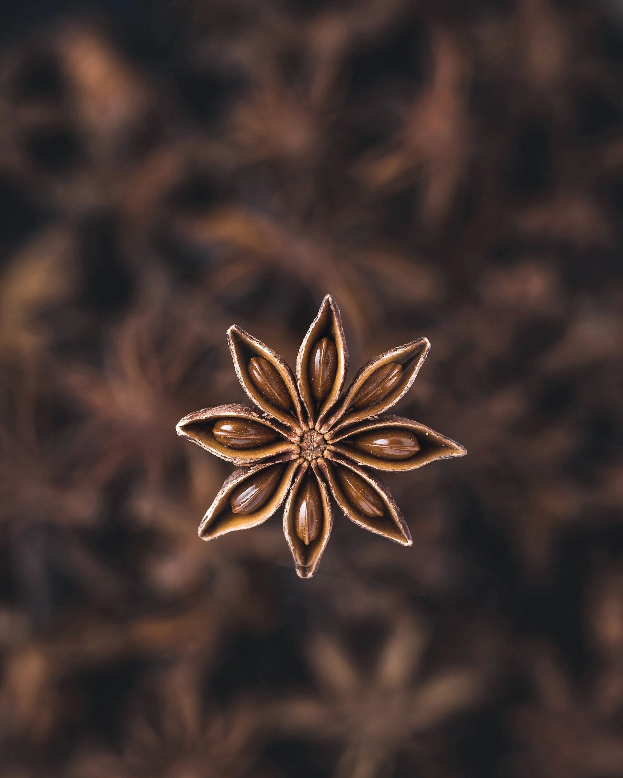 Close-up of a star anise spice showing its star shape with multiple seed-filled pods.