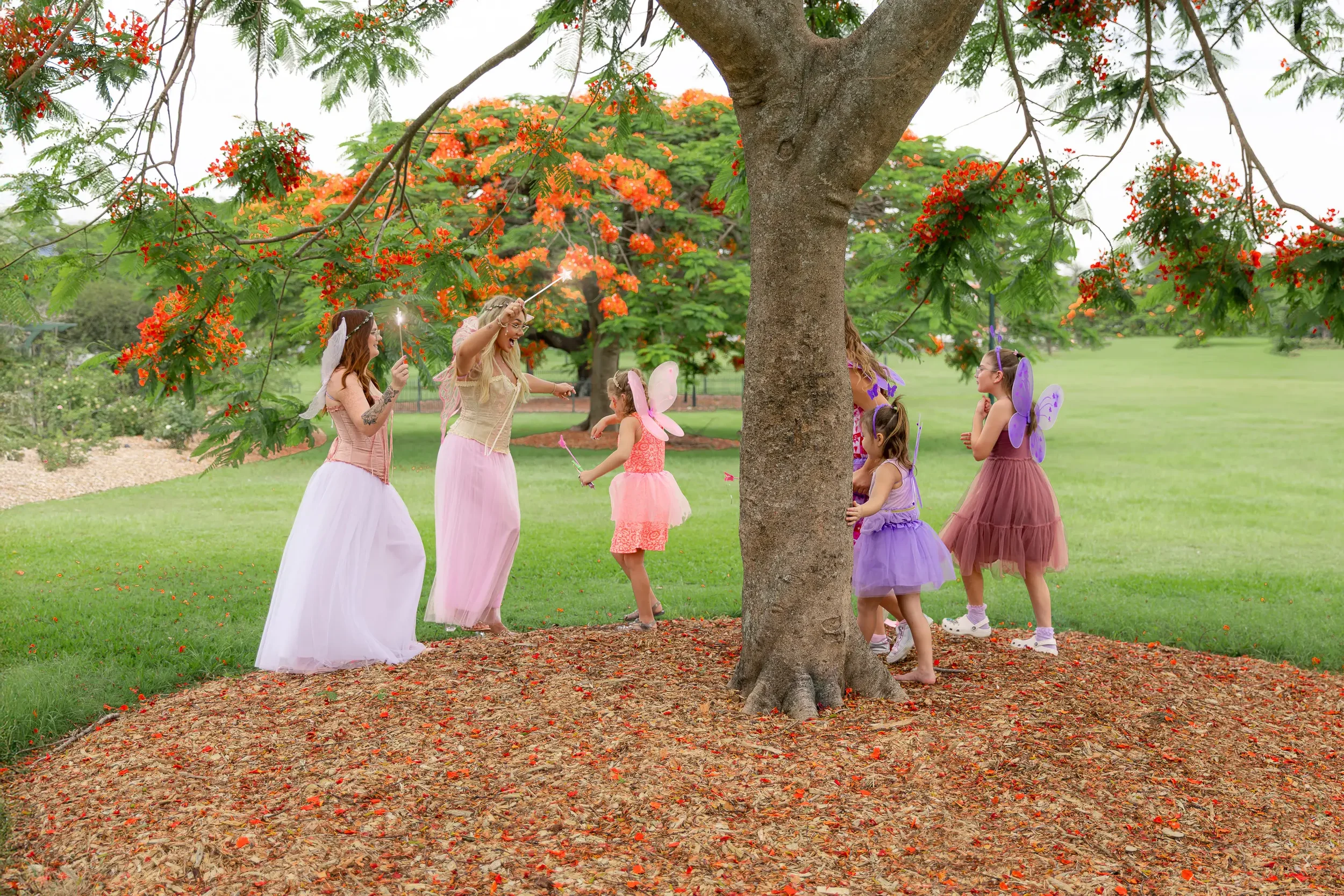 Bris Party Fairies x IMAGERY by Nae-55.webp
