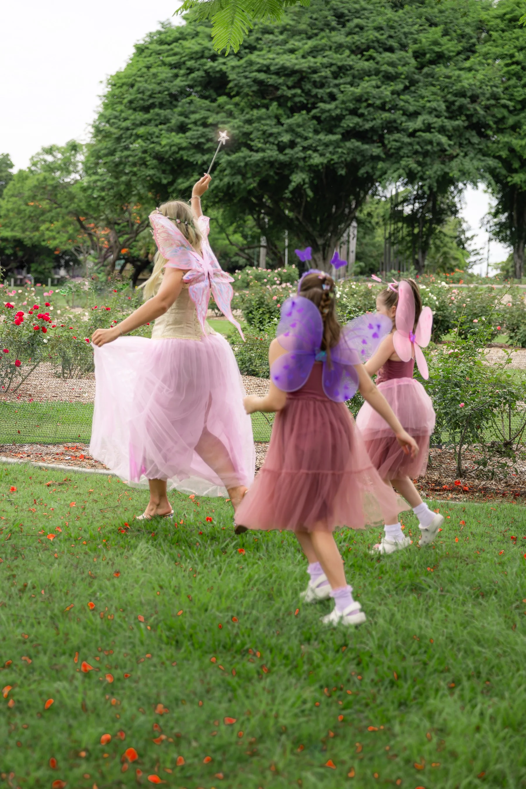 Bris Party Fairies x IMAGERY by Nae-59.jpg