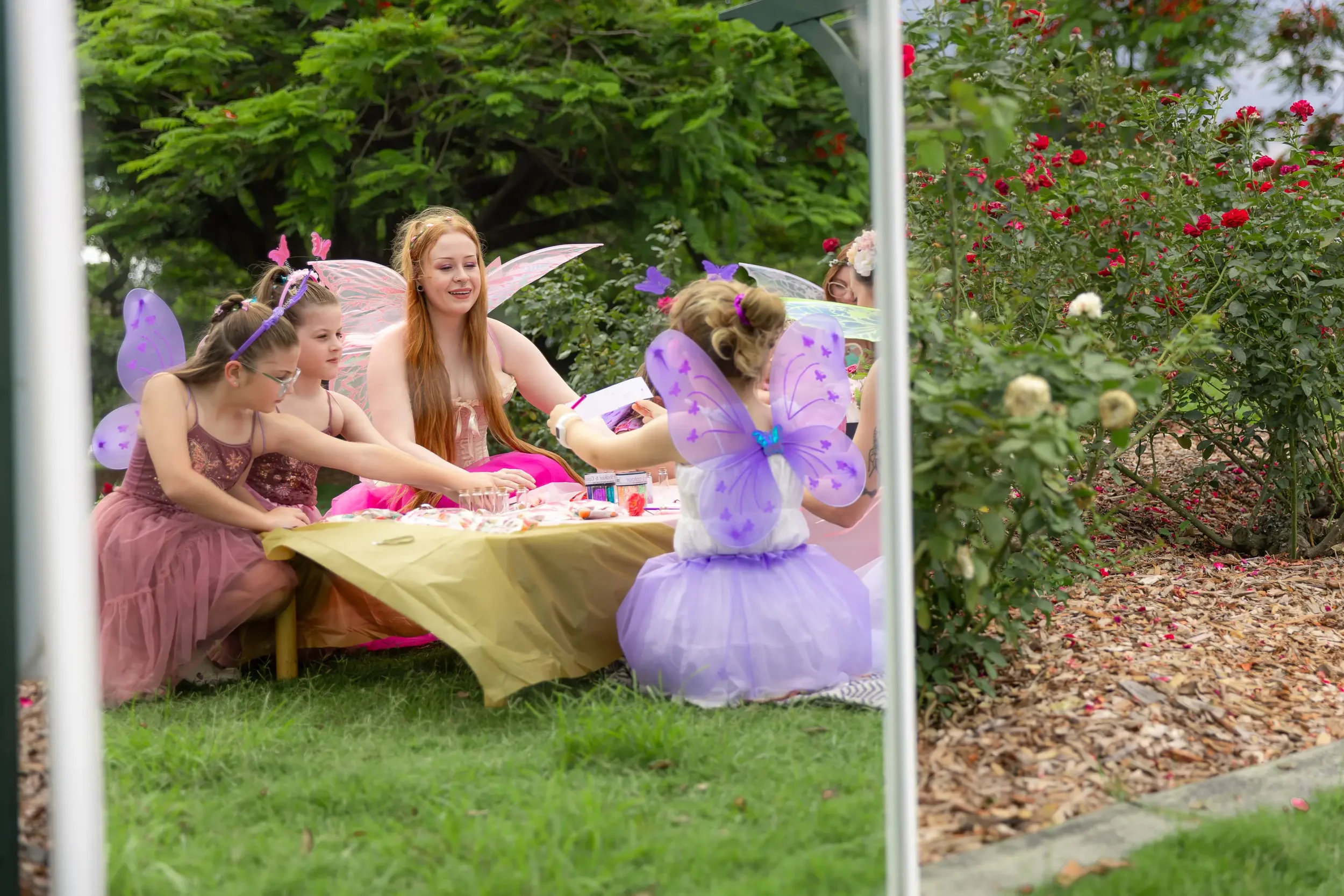 Bris Party Fairies x IMAGERY by Nae-13.webp