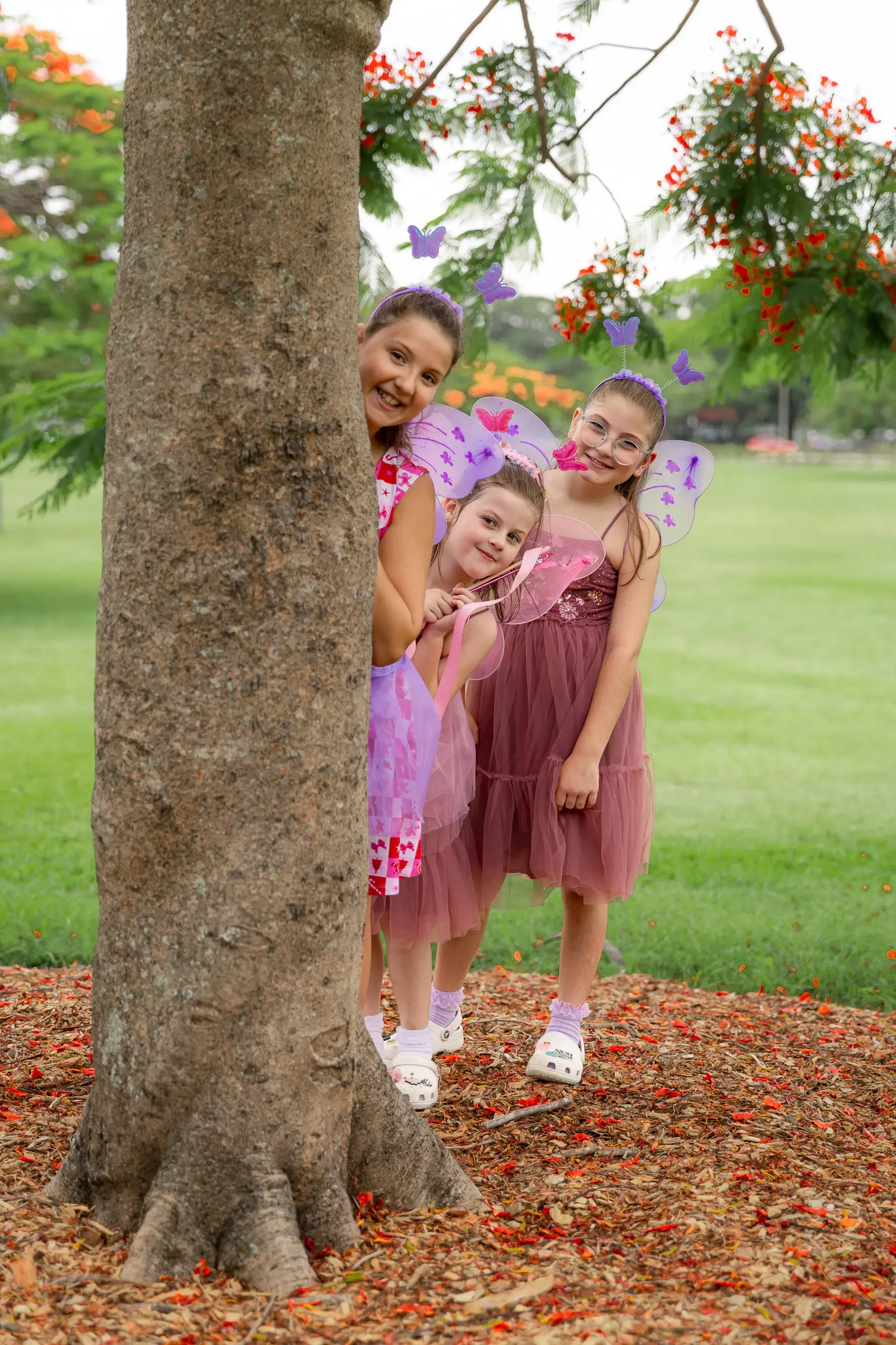 Bris Party Fairies x IMAGERY by Nae-53.webp