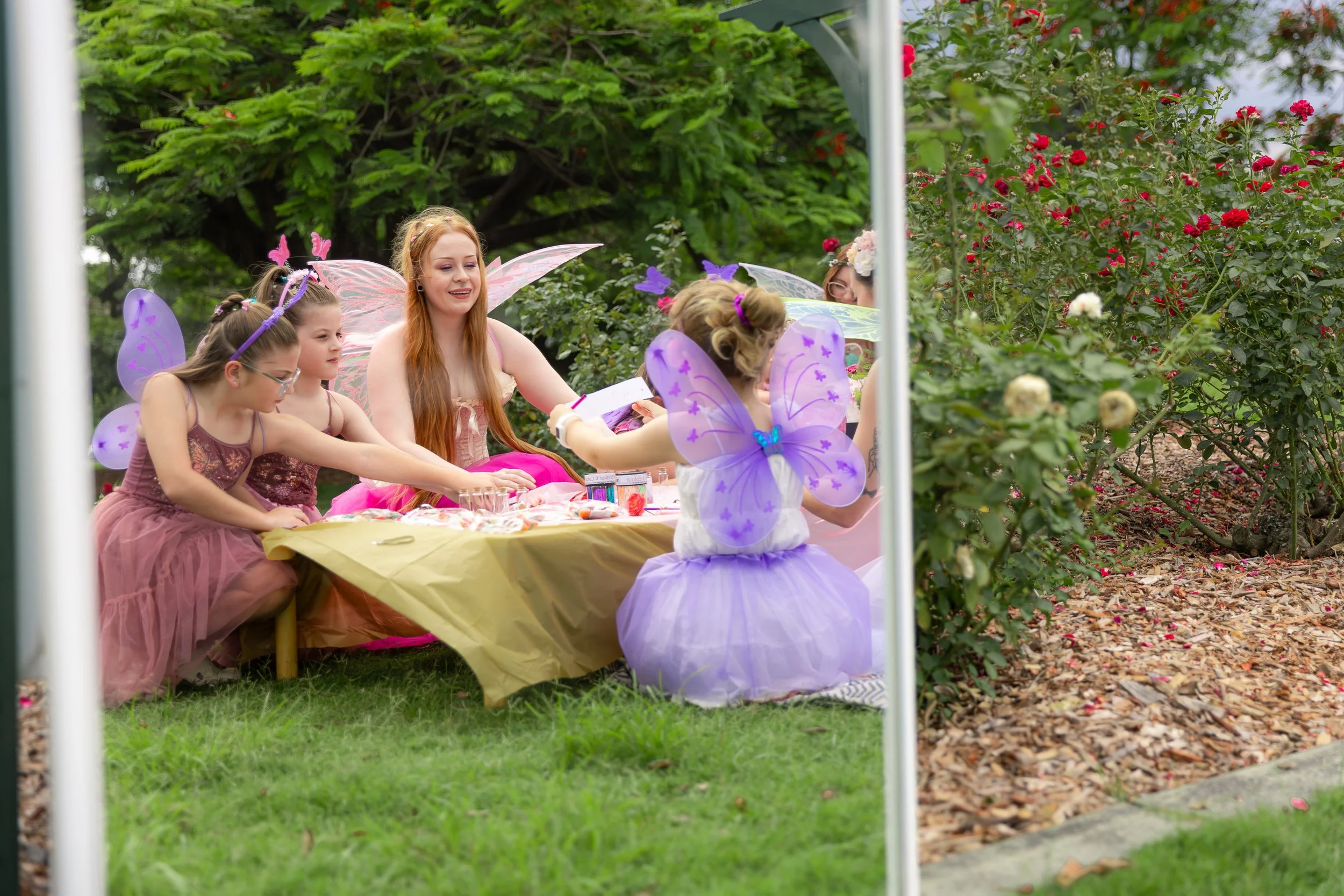 Bris Party Fairies x IMAGERY by Nae-13.jpg