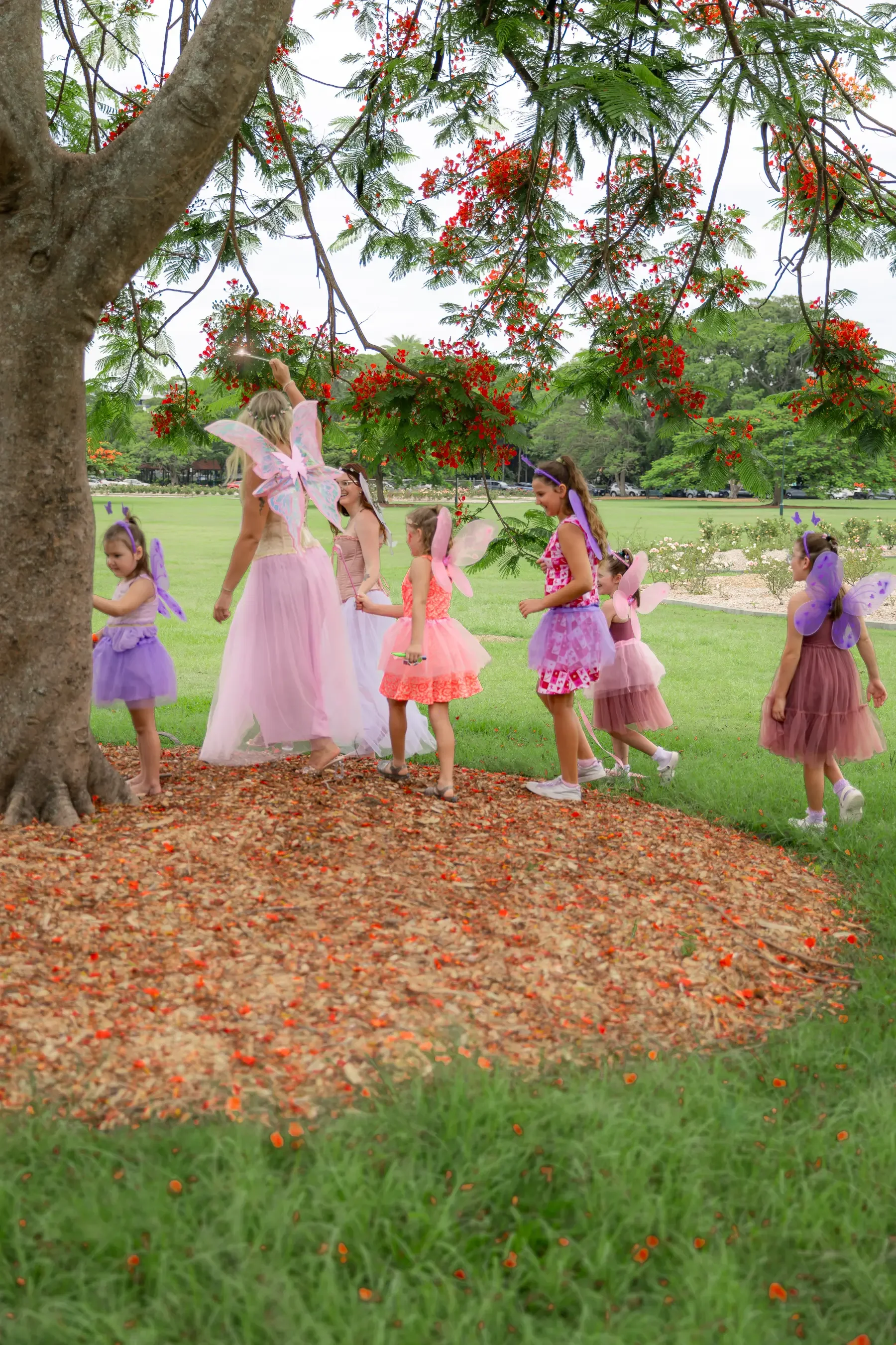 Bris Party Fairies x IMAGERY by Nae-58.webp