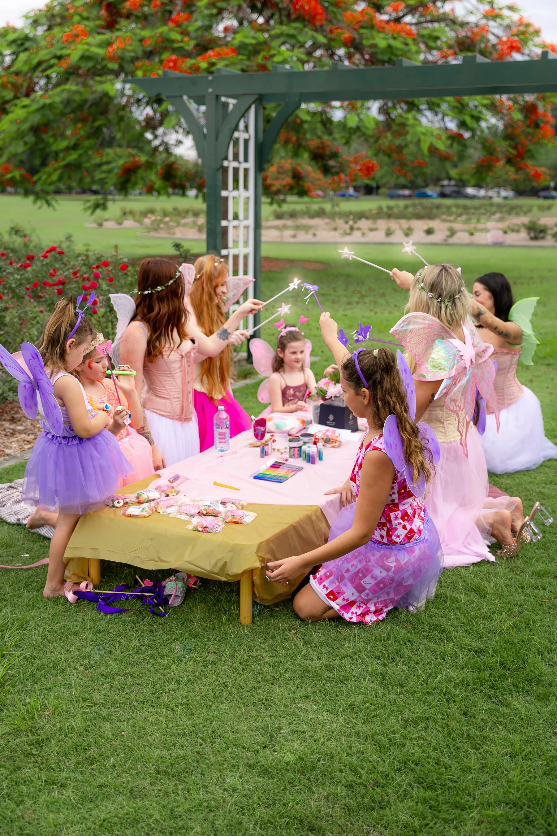 Bris Party Fairies x IMAGERY by Nae-49.jpg