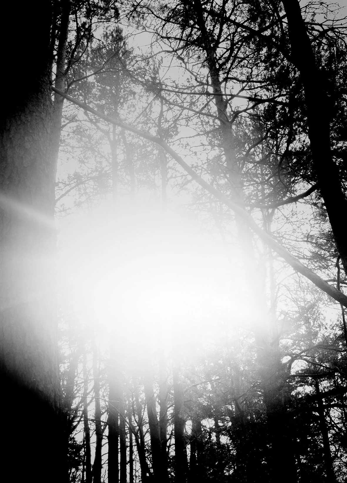 #Faites de la photographie ! Atelier n°6 : Jour et contre-jour#